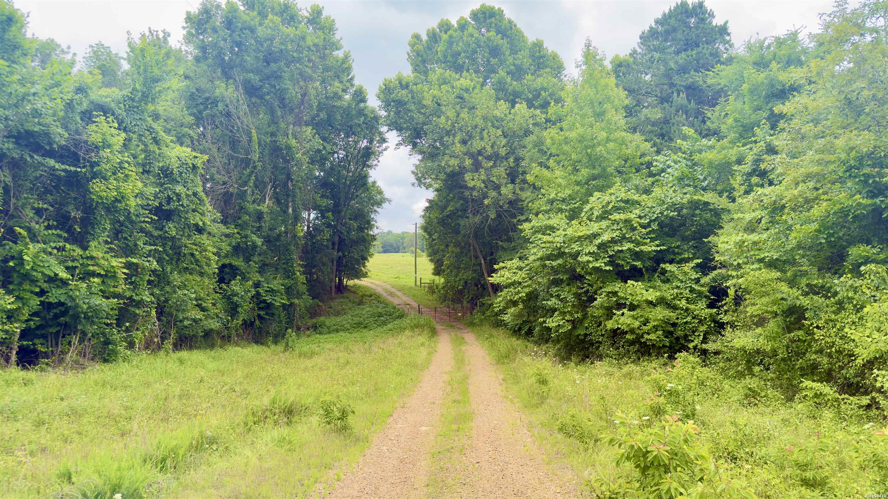 100 Acres Wynn Road Property Photo 9