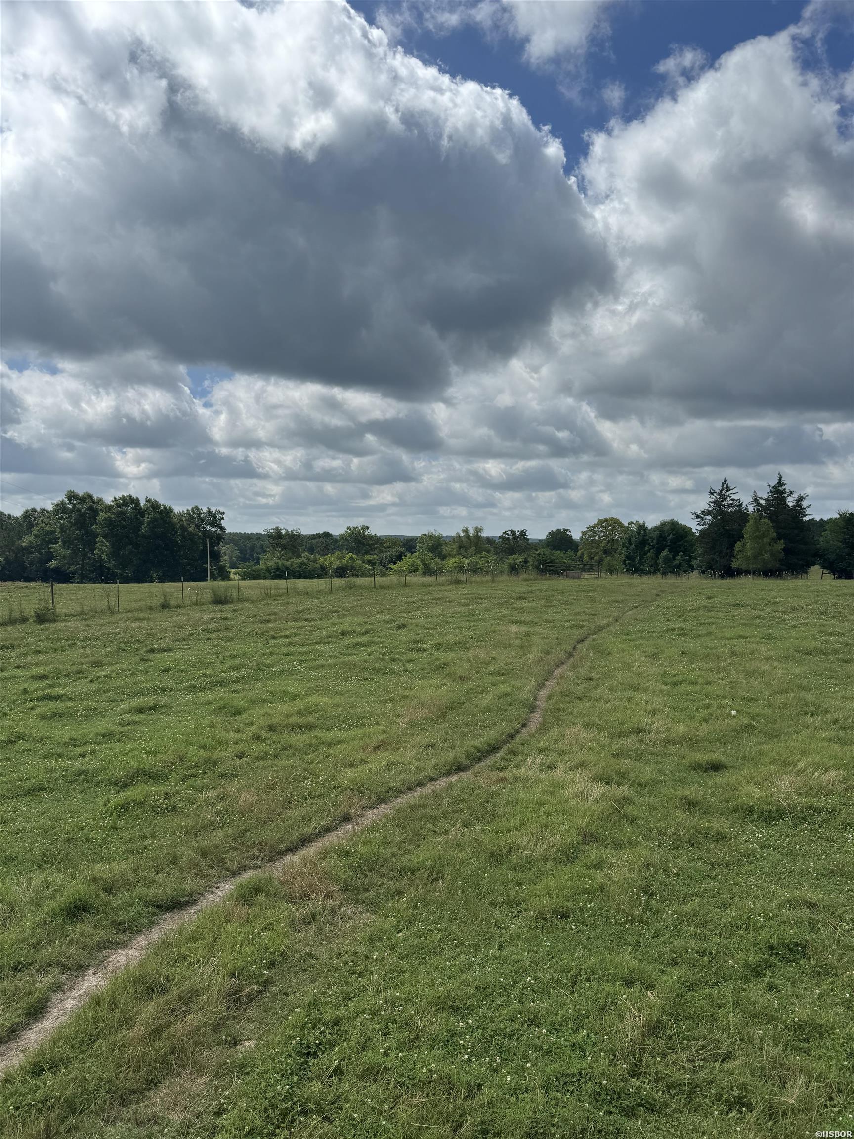 100 Acres Wynn Road Property Photo 14
