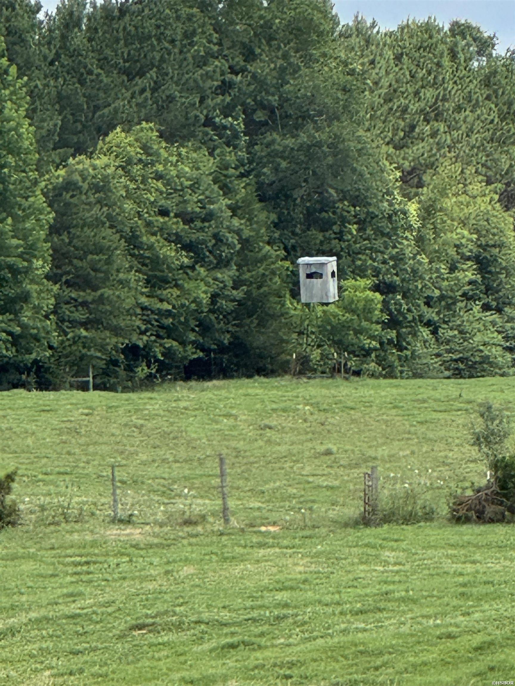 100 Acres Wynn Road Property Photo 17