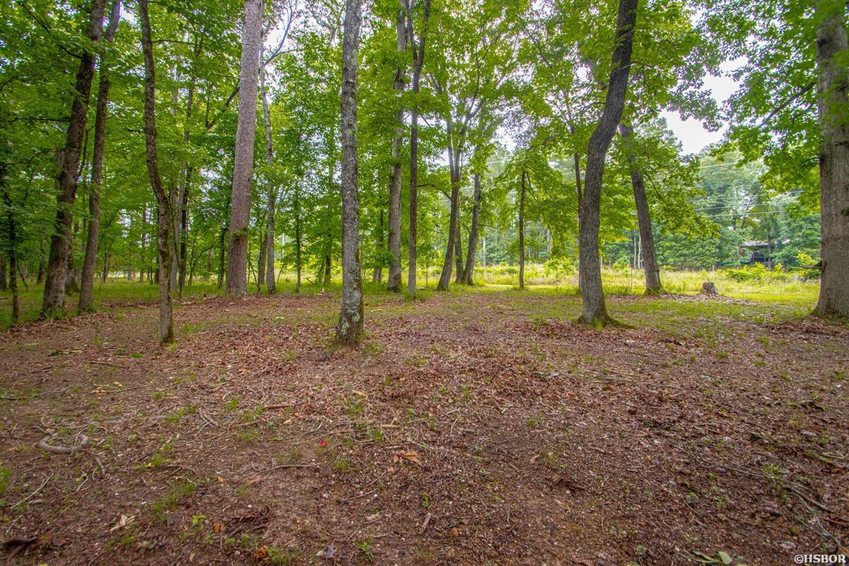 715 Plum Hollow Property Photo 13