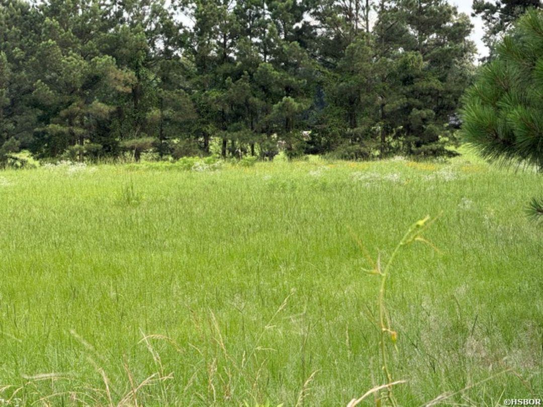 Tbd Highway 128 Property Photo 3