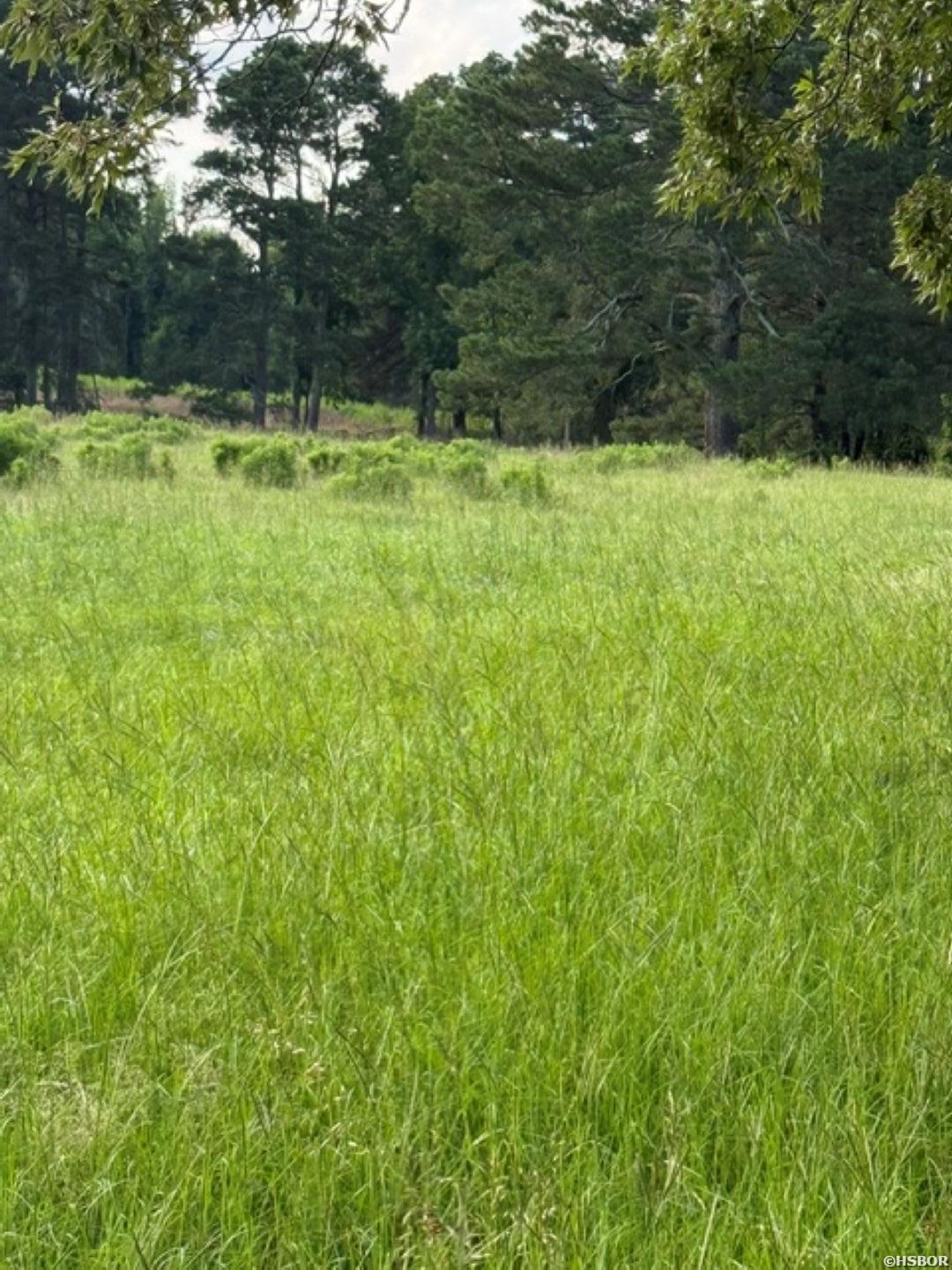 Tbd Highway 128 Property Photo 8