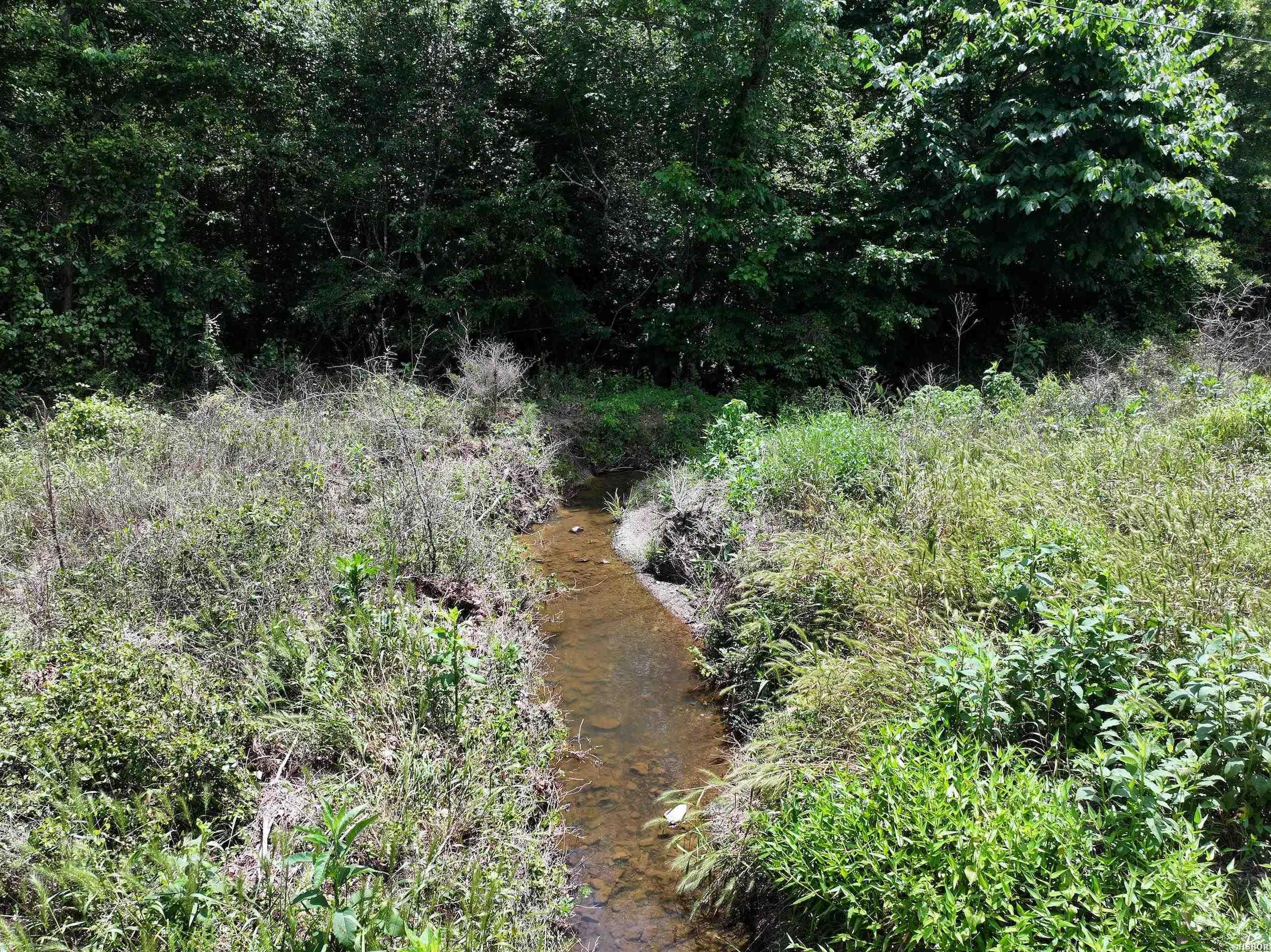 Xxx Adcock Cutoff Road Property Photo 13