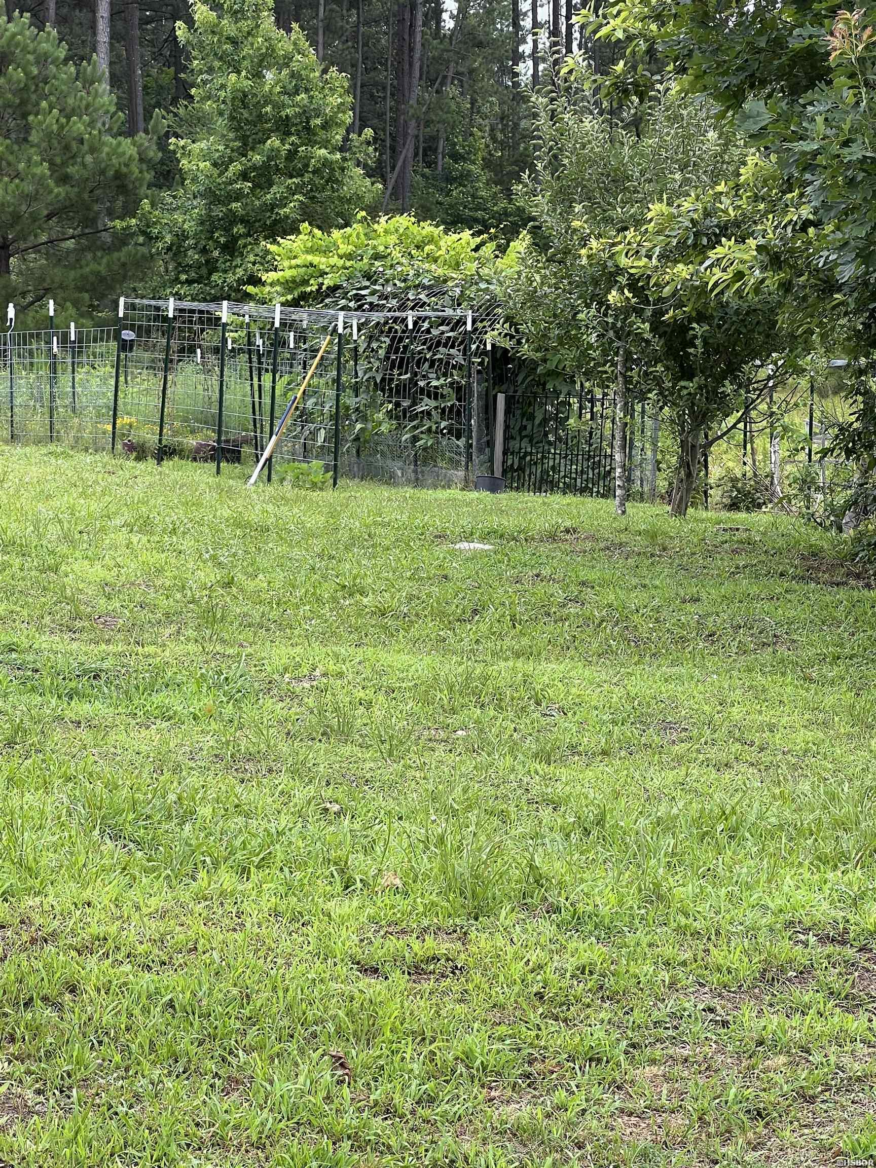 980 Sunflower Property Photo 18