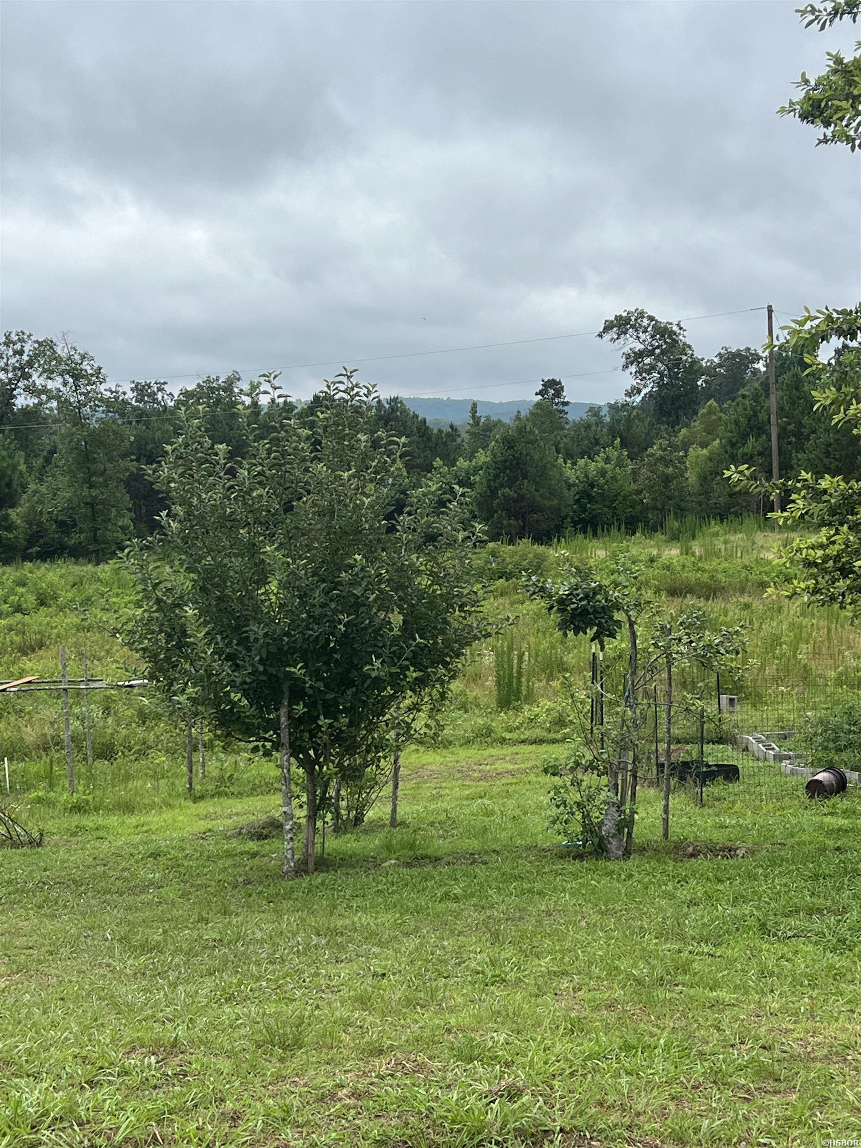 980 Sunflower Property Photo 22