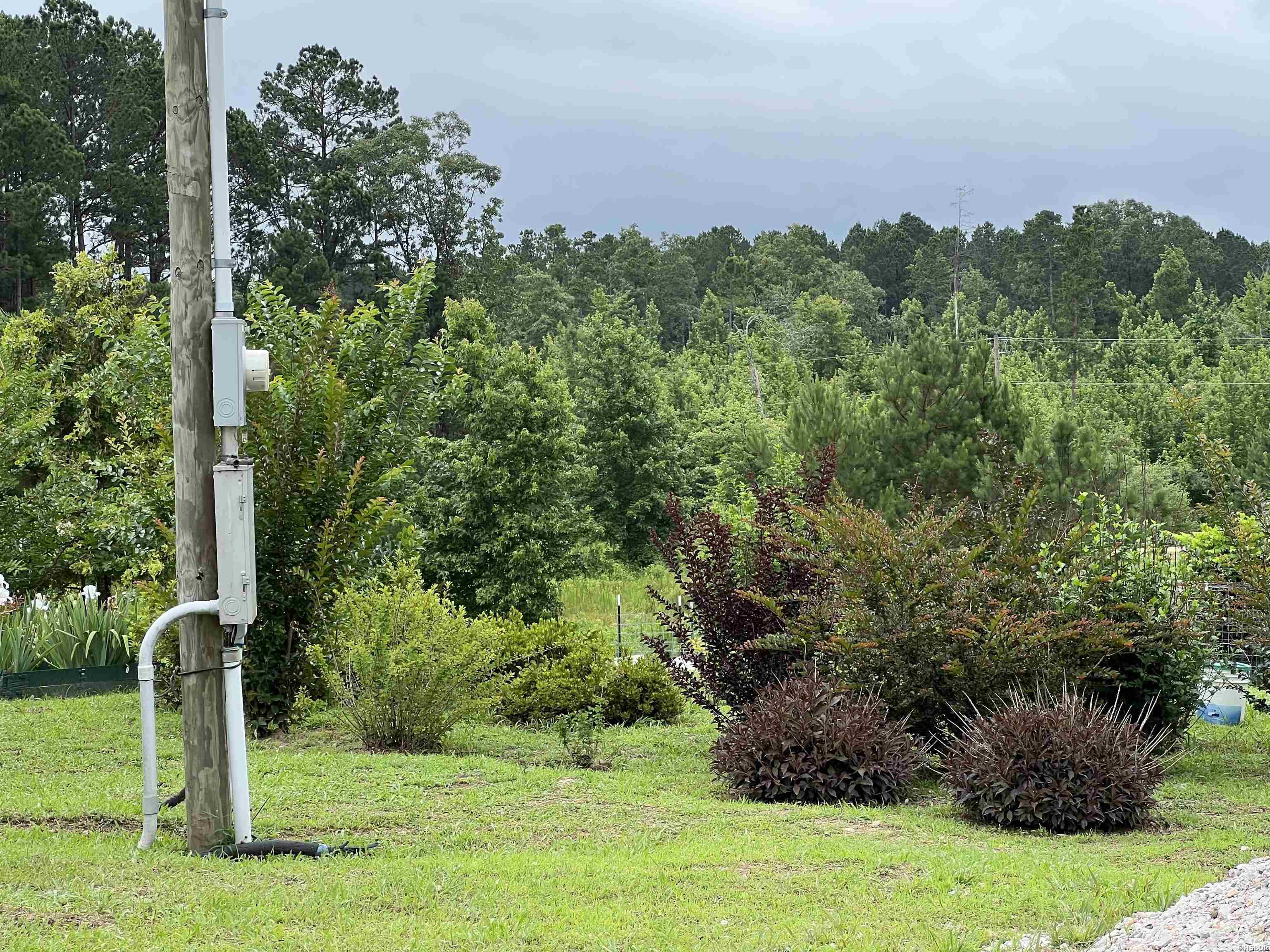 980 Sunflower Property Photo 25