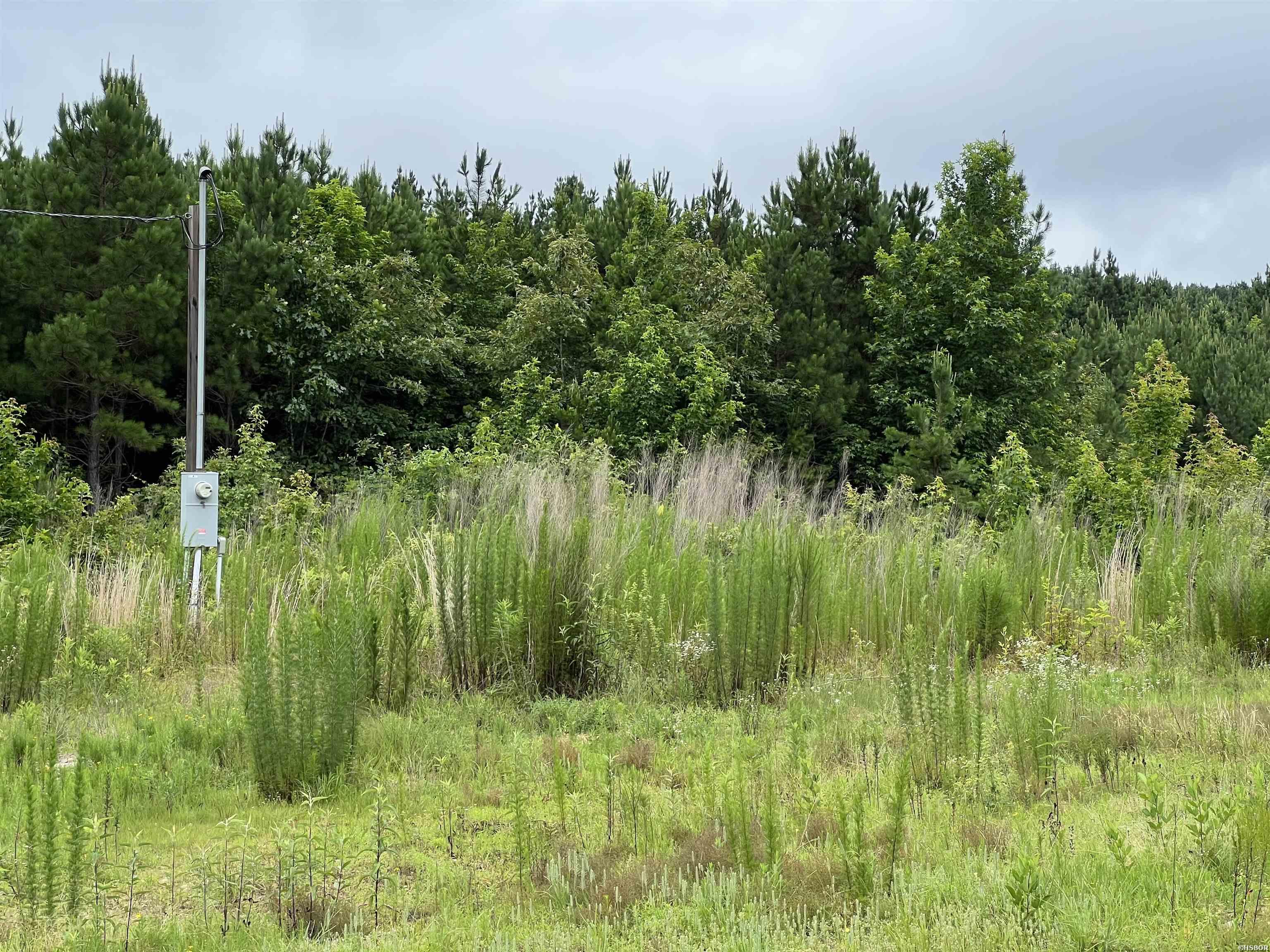 980 Sunflower Property Photo 26