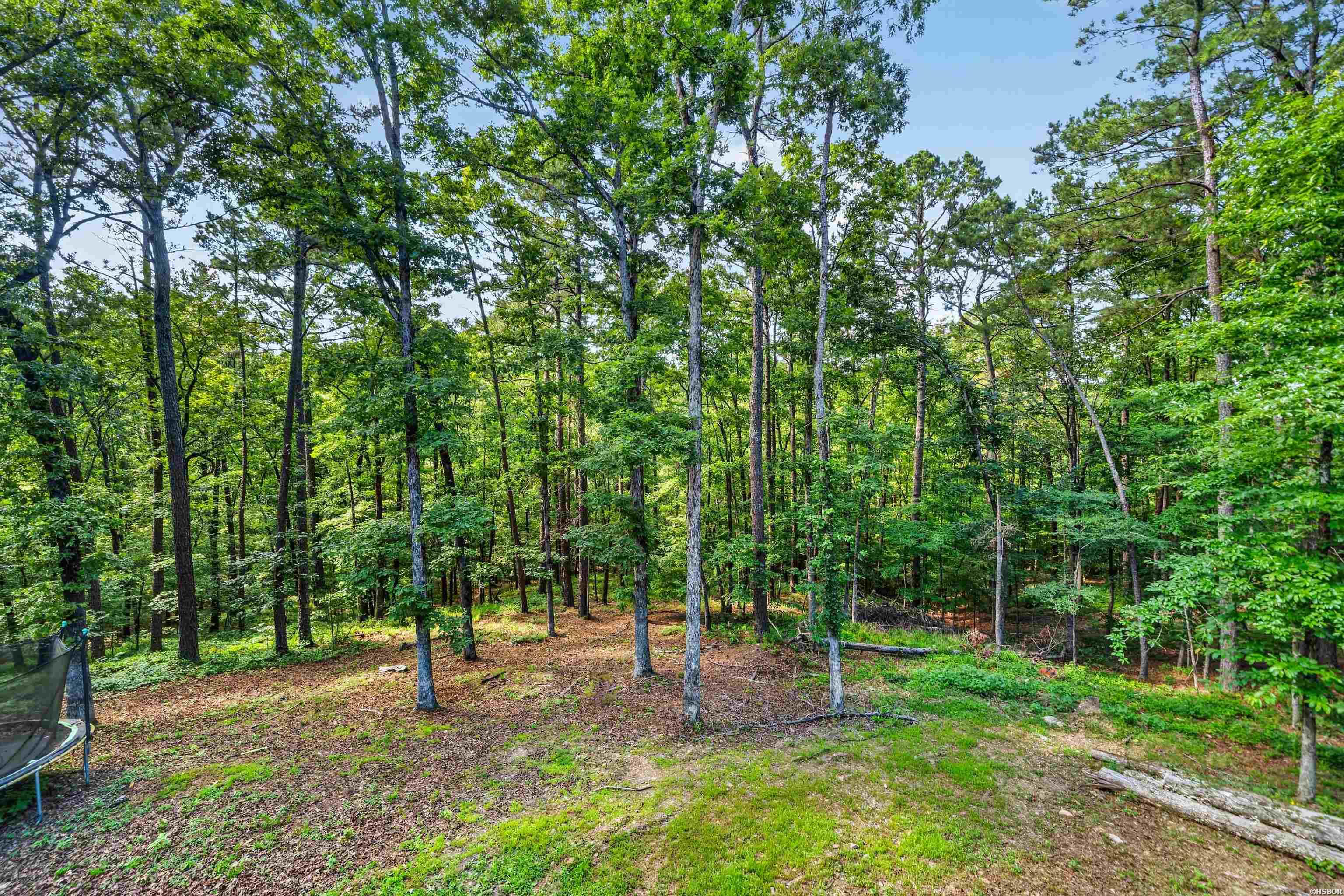 914 Oakgrove Road Property Photo 47