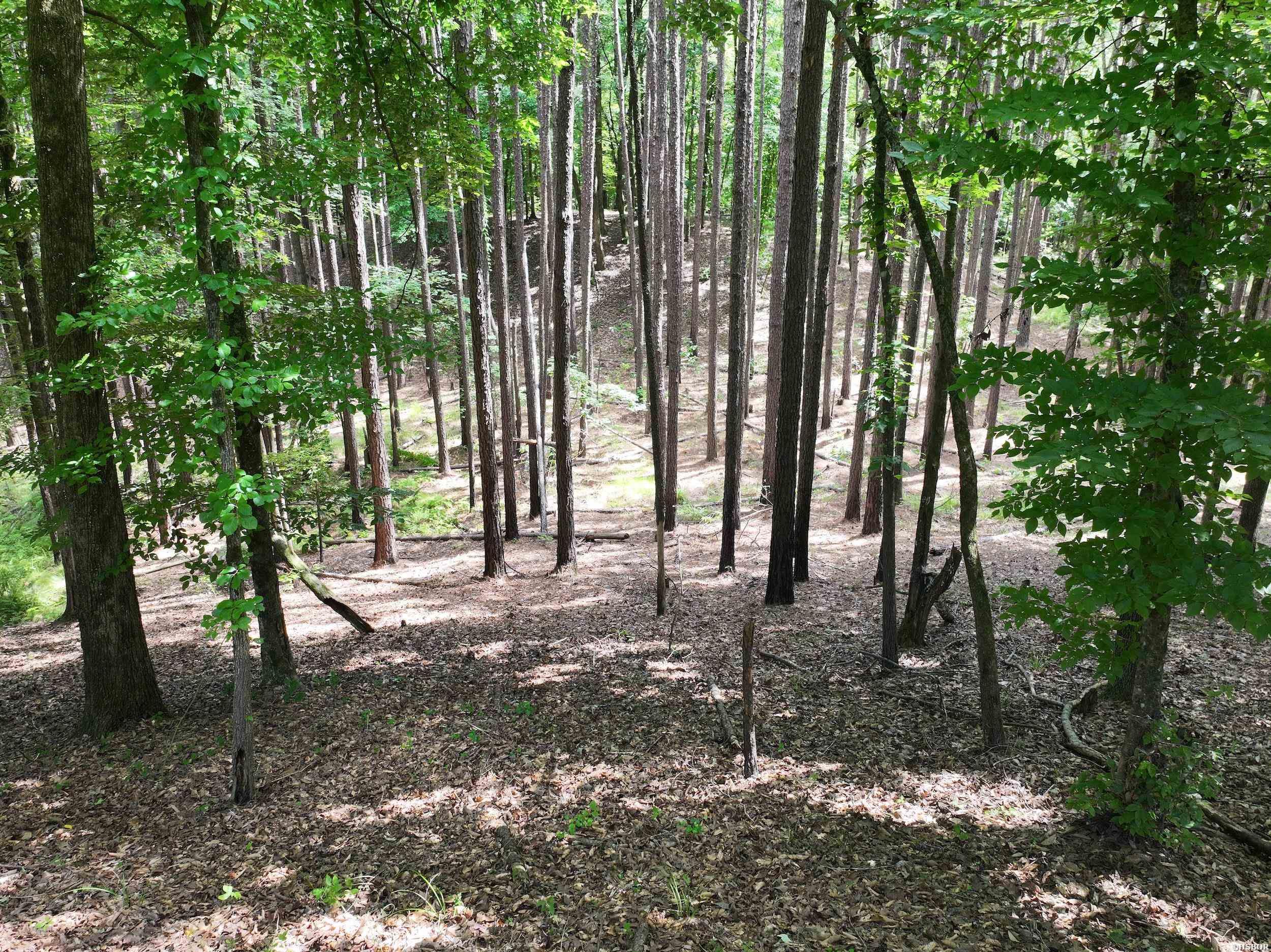 Xxx Hwy 67 Property Photo 5