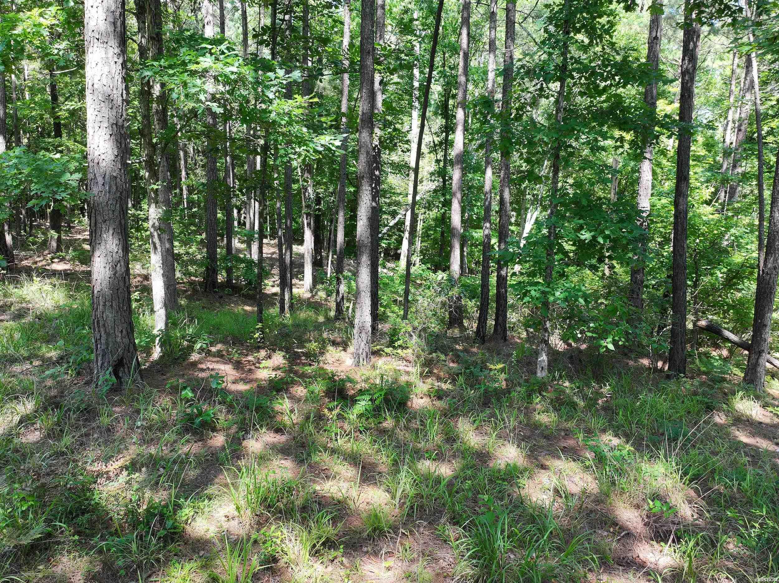 Xxx Hwy 67 Property Photo 6