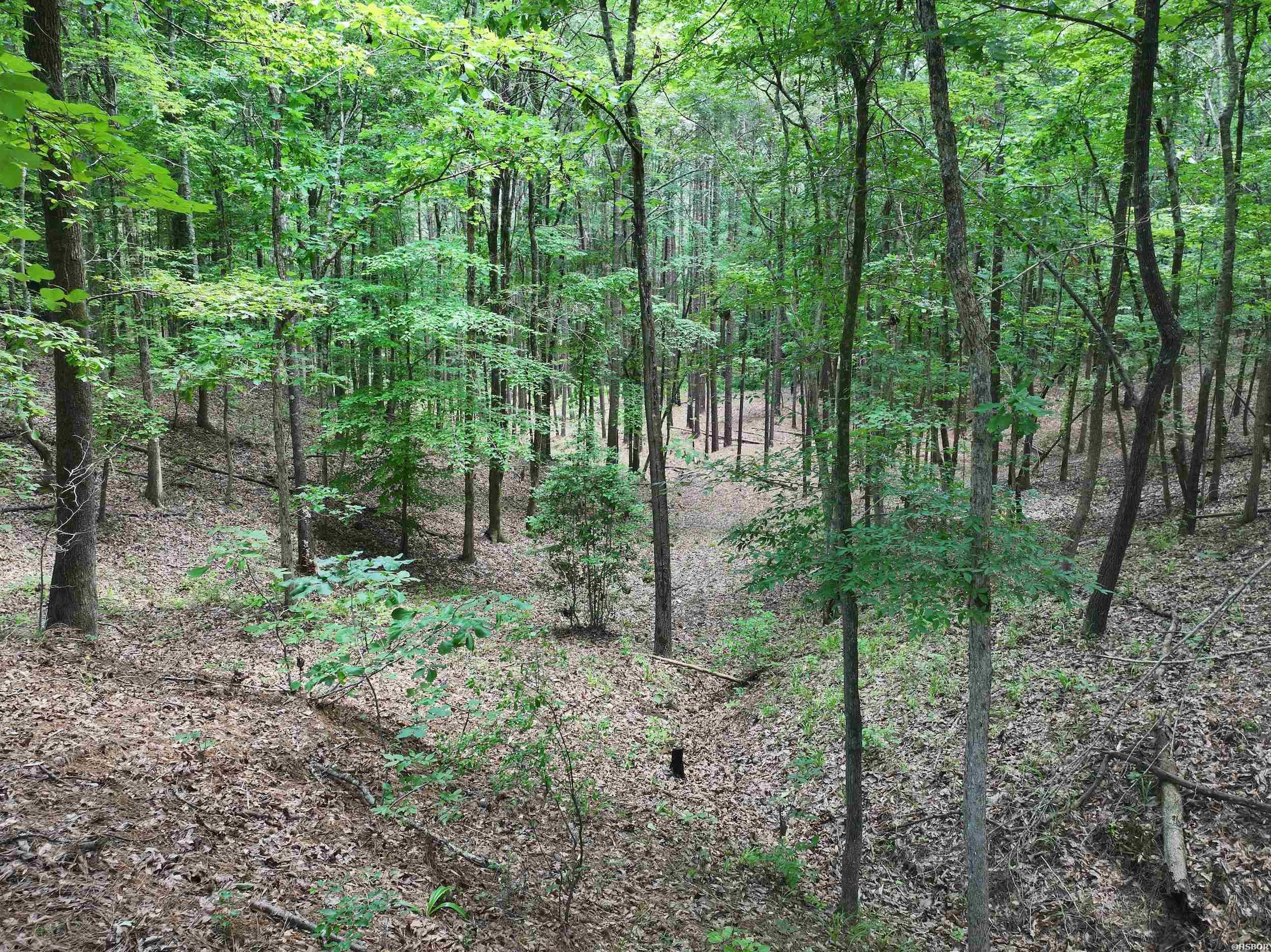 Xxx Hwy 67 Property Photo 8