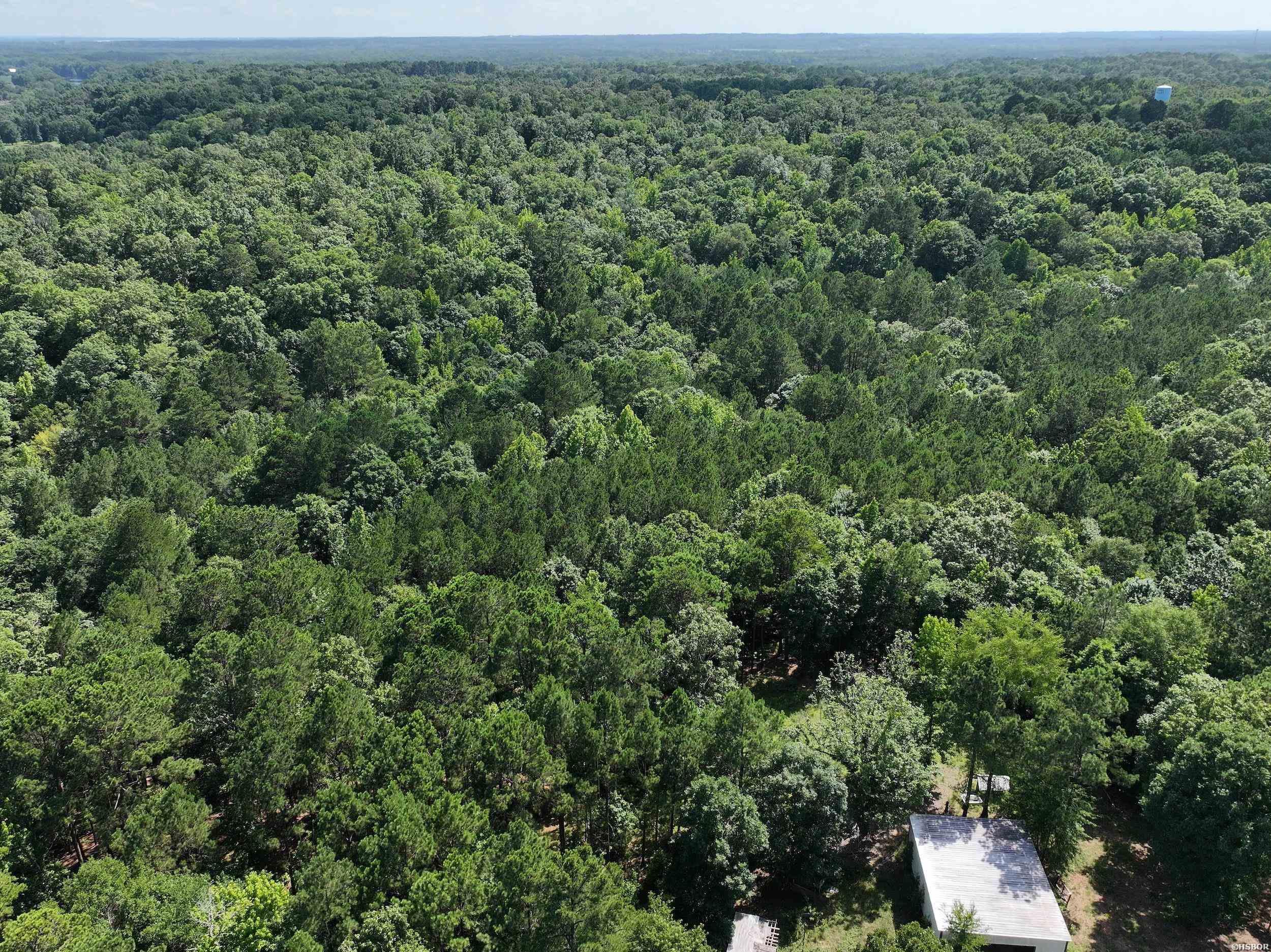Xxx Hwy 67 Property Photo 9