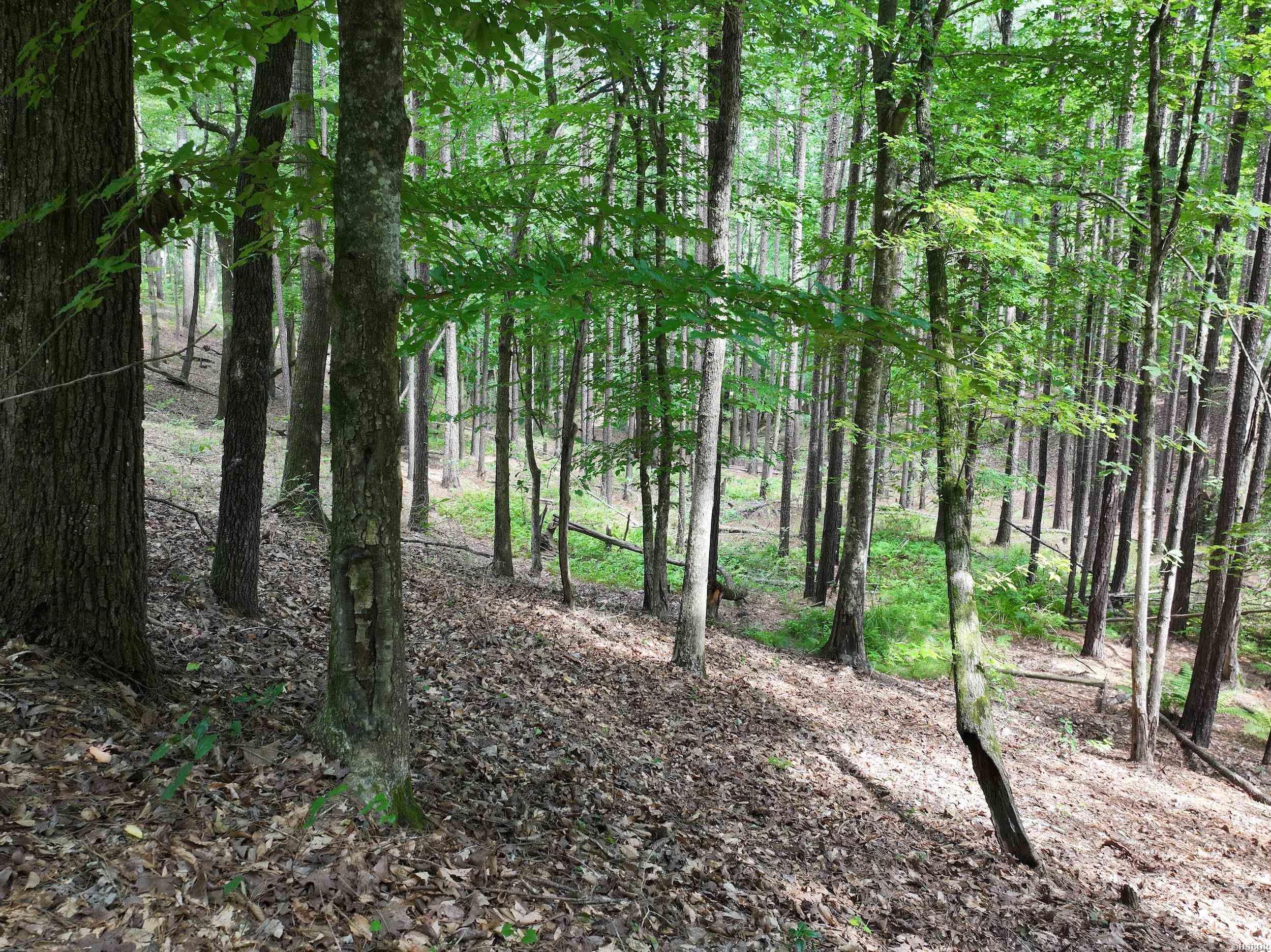 Xxx Hwy 67 Property Photo 12