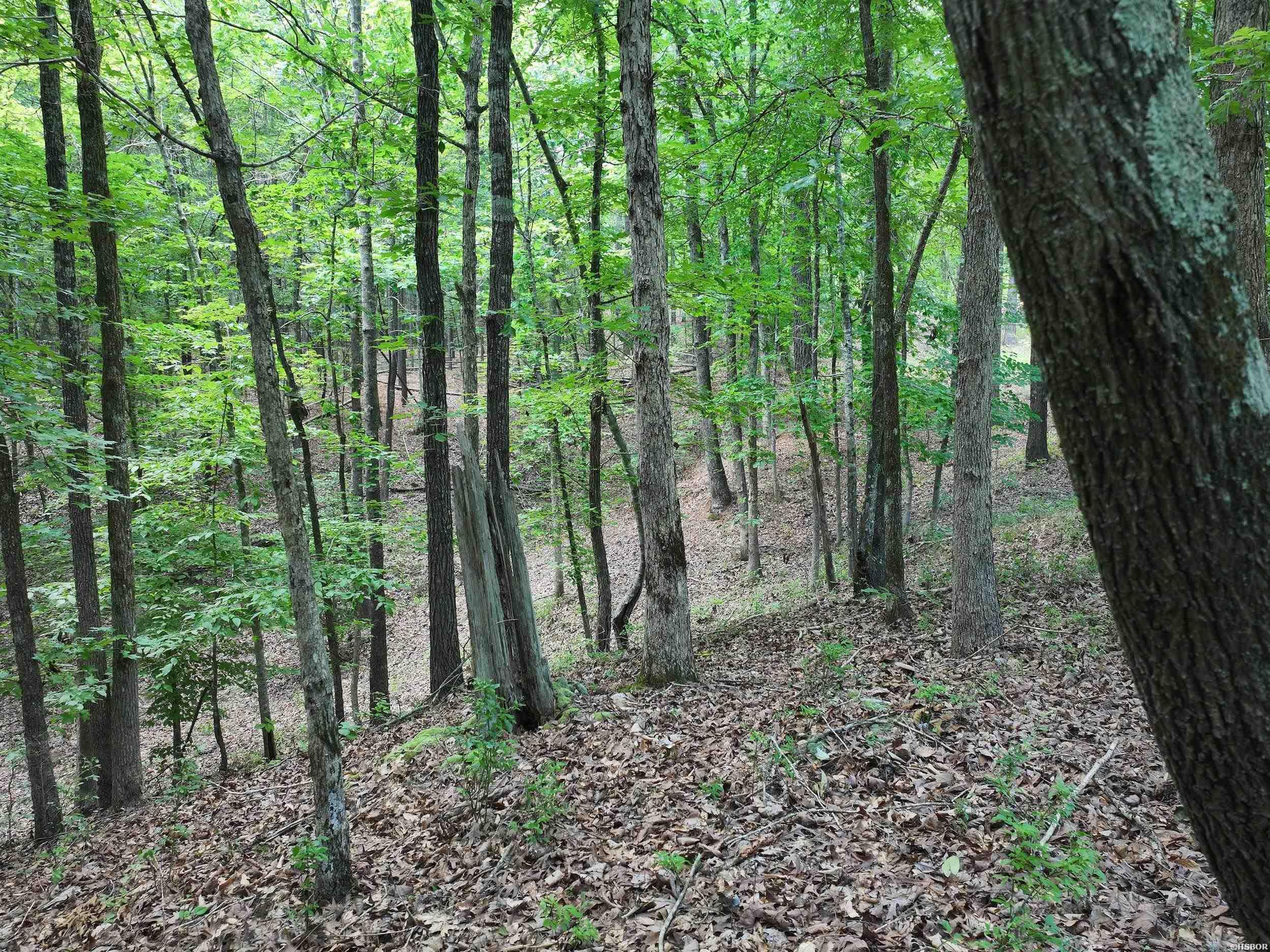 Xxx Hwy 67 Property Photo 14