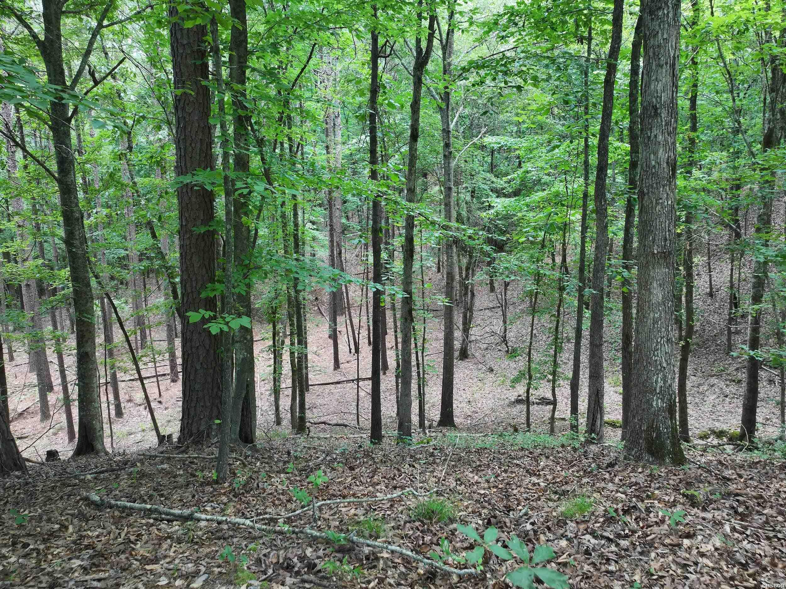 Xxx Hwy 67 Property Photo 15