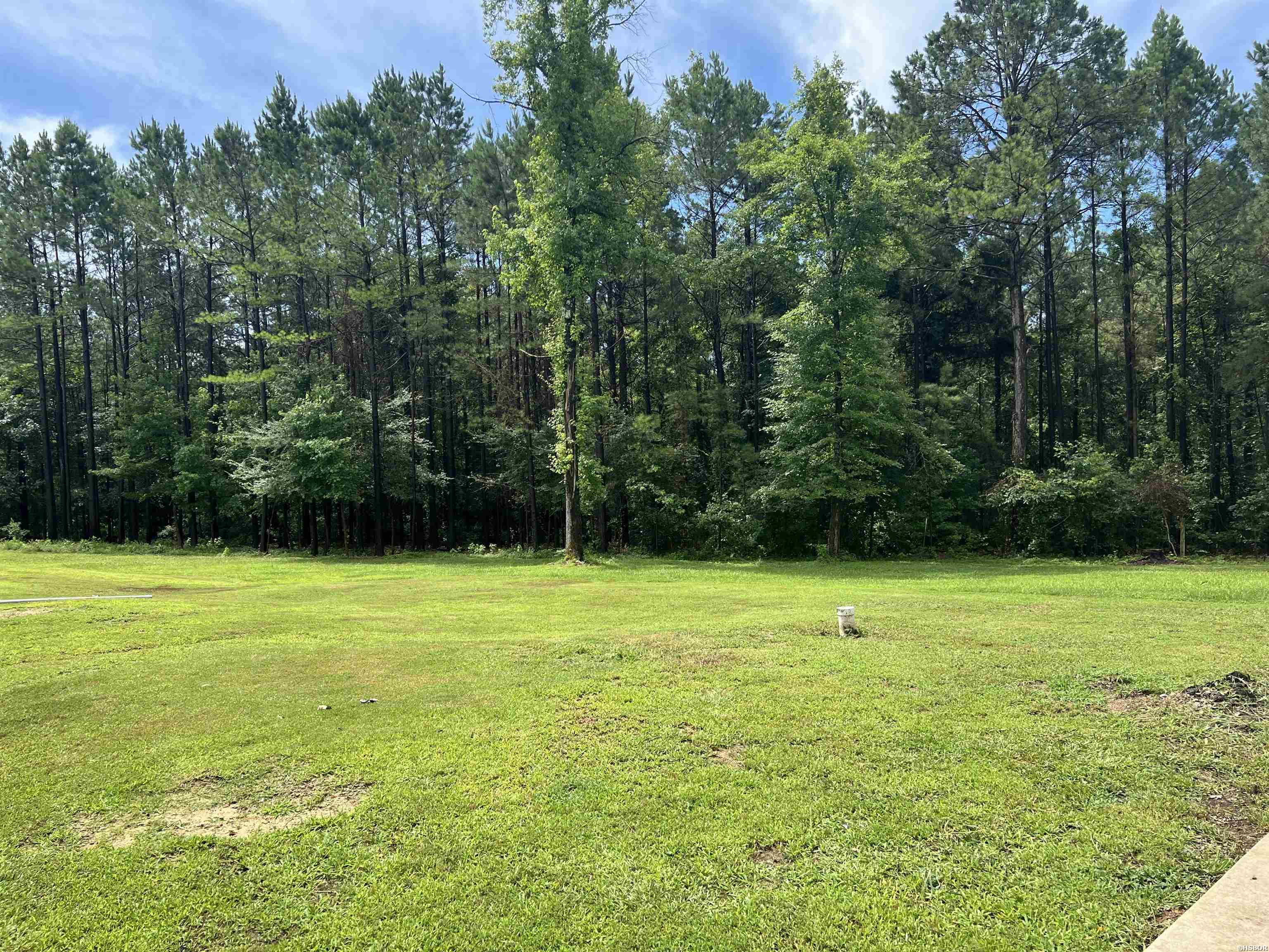 341 Hwy 84 Property Photo 20