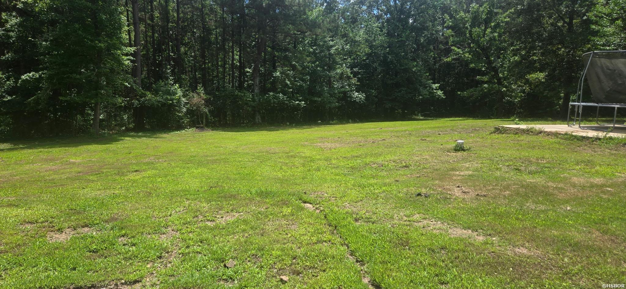 341 Hwy 84 Property Photo 26