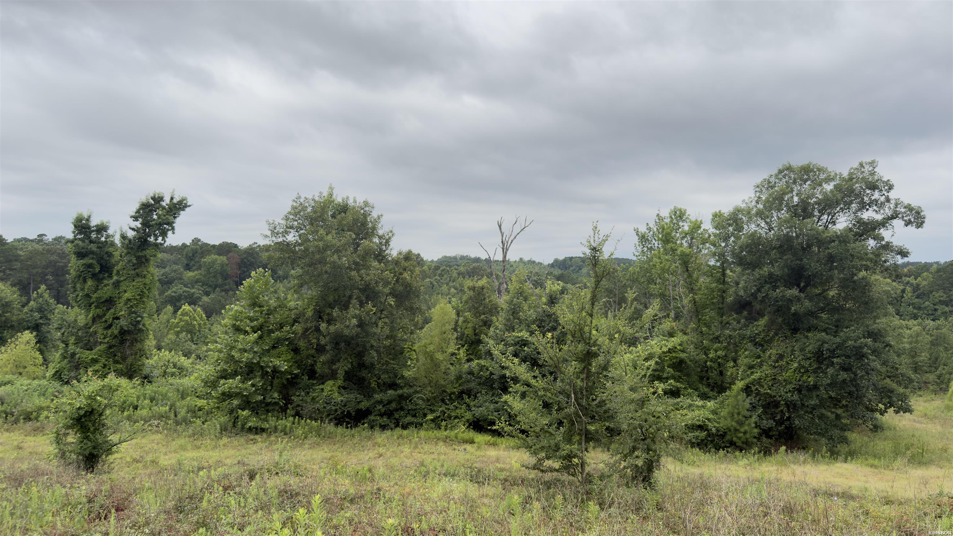 80 Acres Hwy 41 Property Photo 3
