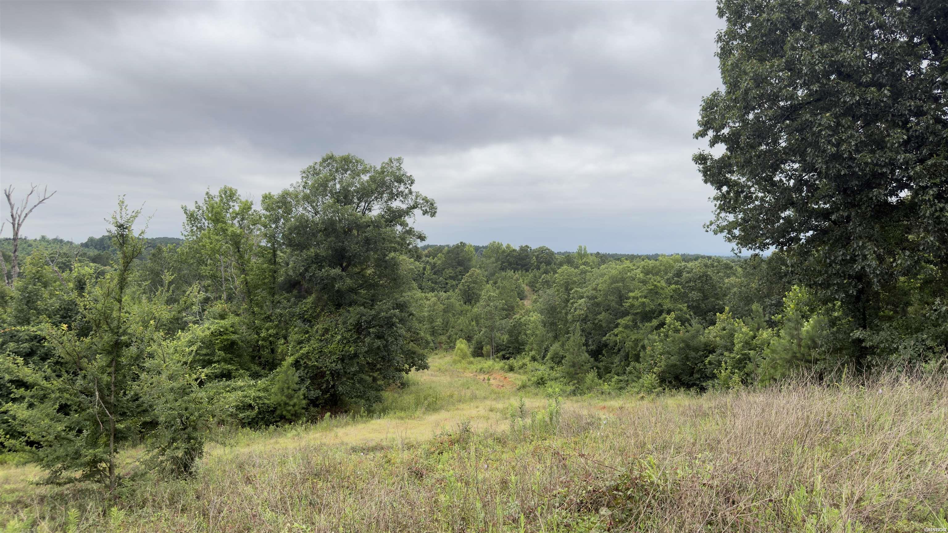 80 Acres Hwy 41 Property Photo 4