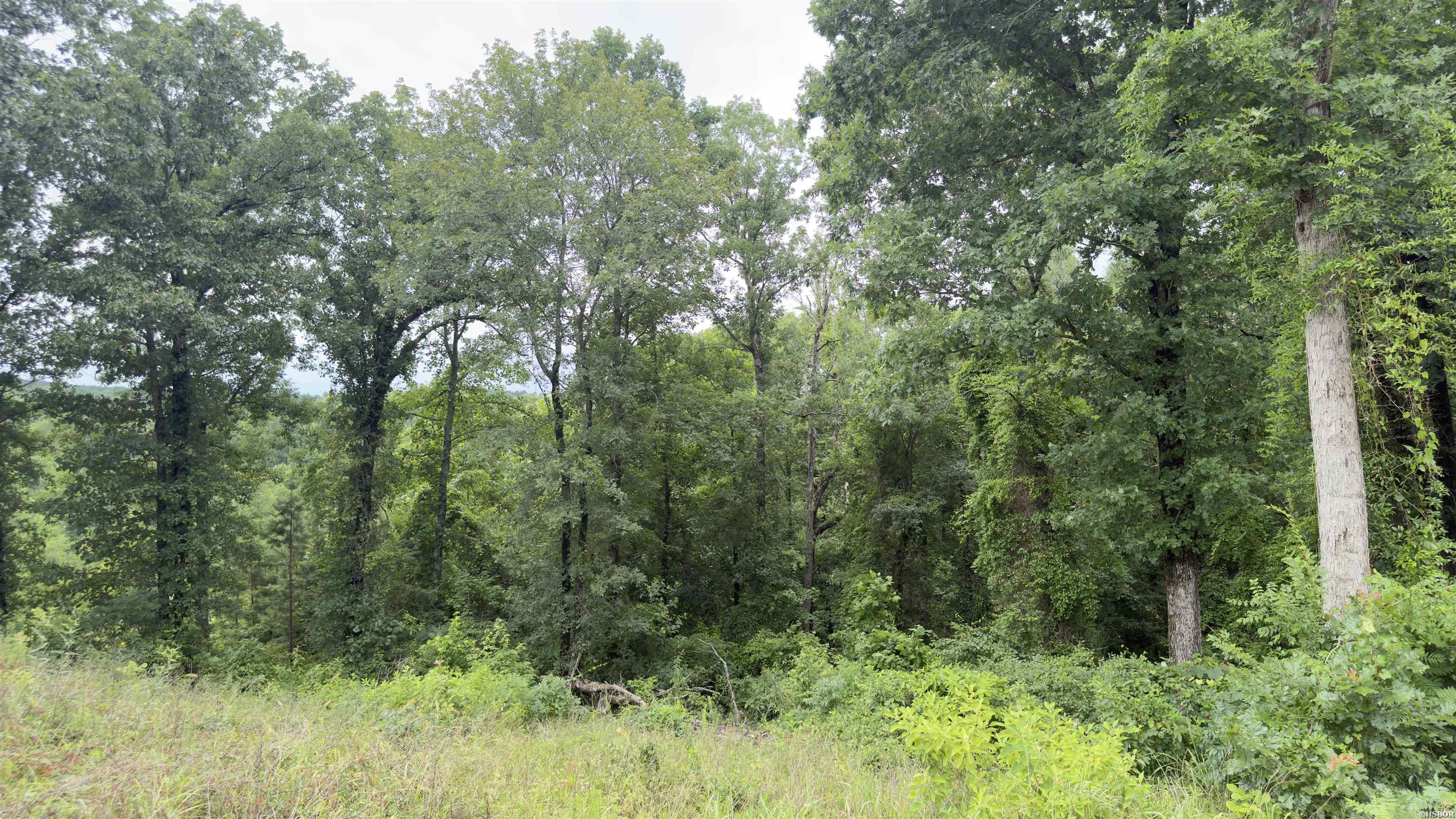 80 Acres Hwy 41 Property Photo 5