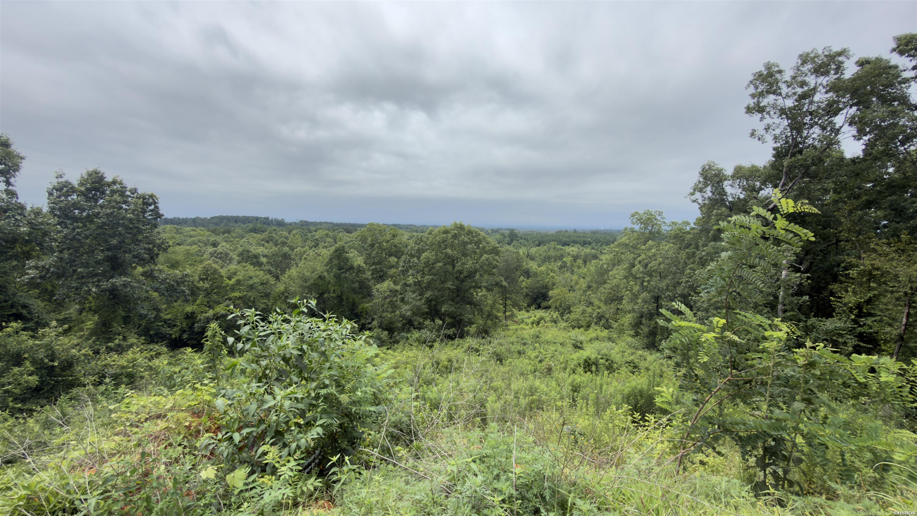 80 Acres Hwy 41 Property Photo 6