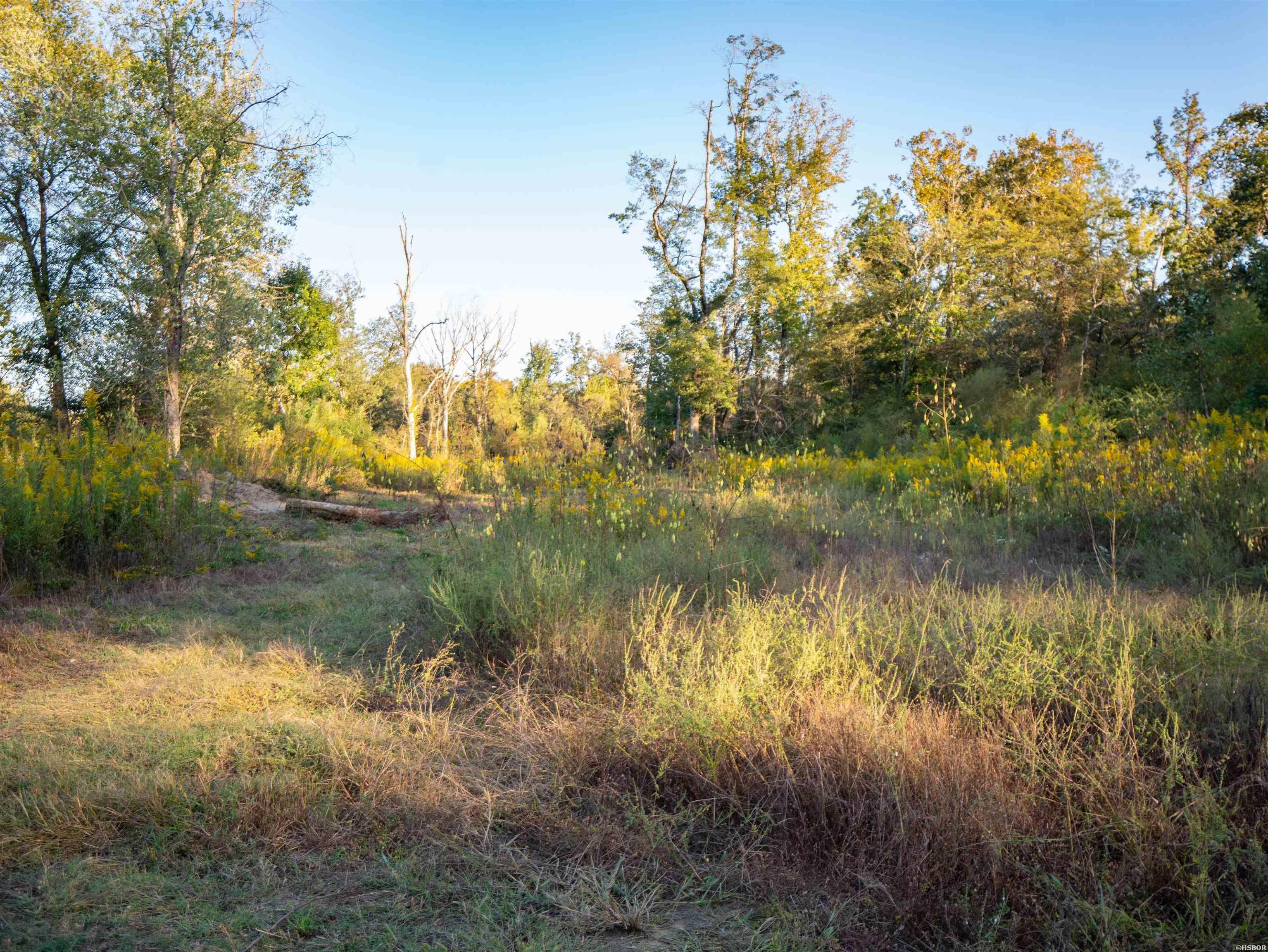 Xxx Hwy 270 Property Photo 31