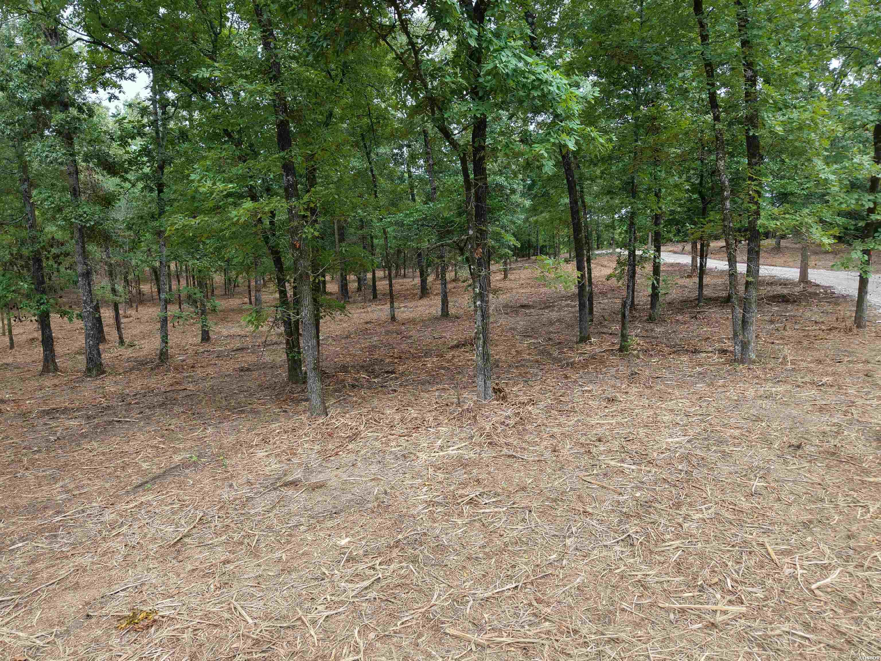 Xxx Nubbin Ridge Property Photo 18