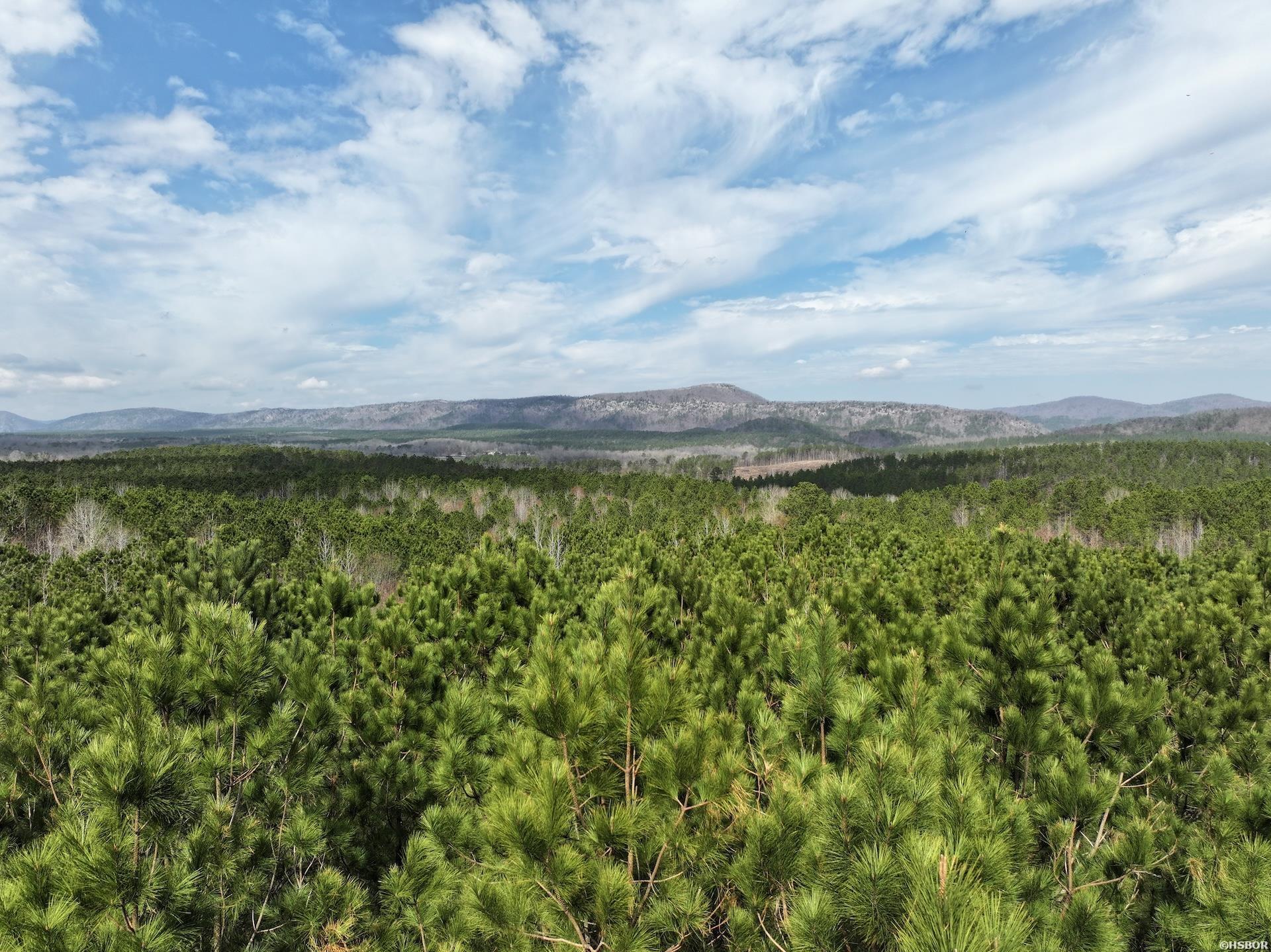 Xxx J Dunson Property Photo 2