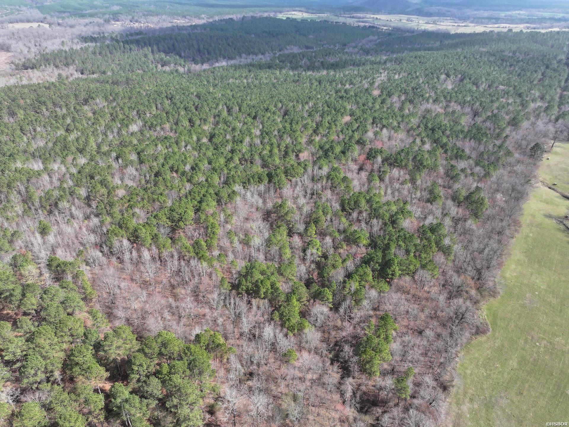 Xxx J Dunson Property Photo 6