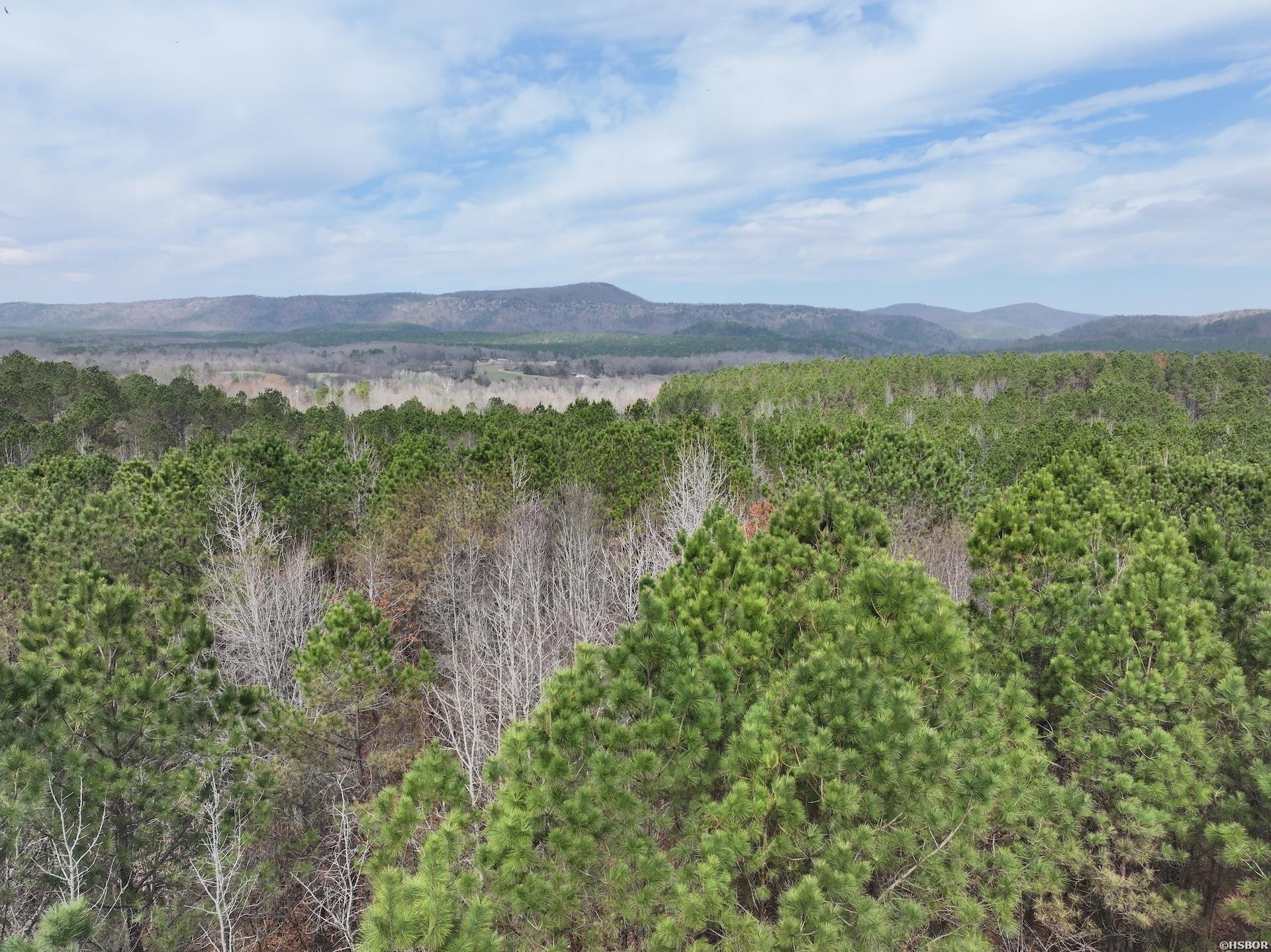 Xxx J Dunson Property Photo 15