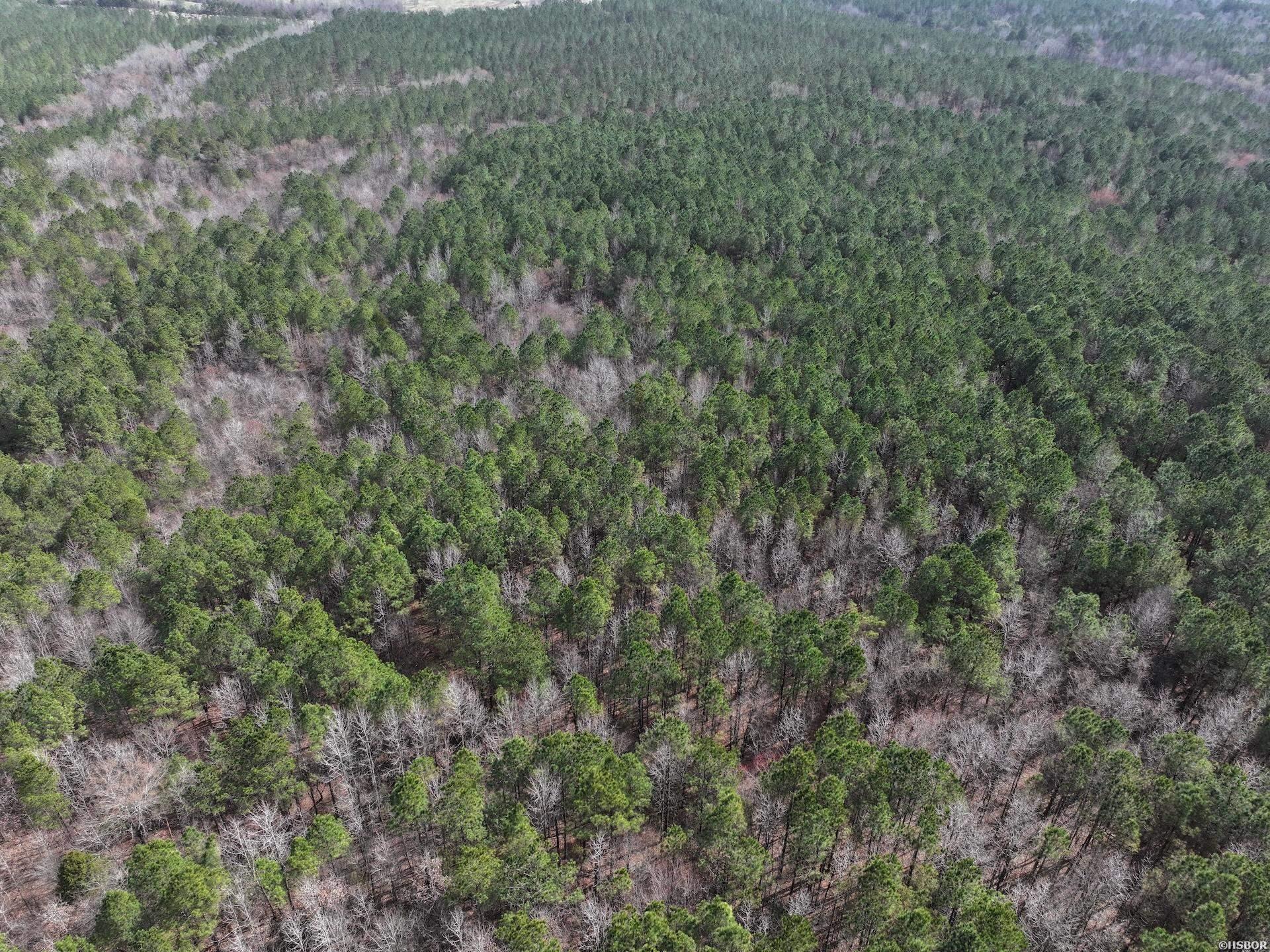 Xxx J Dunson Property Photo 18