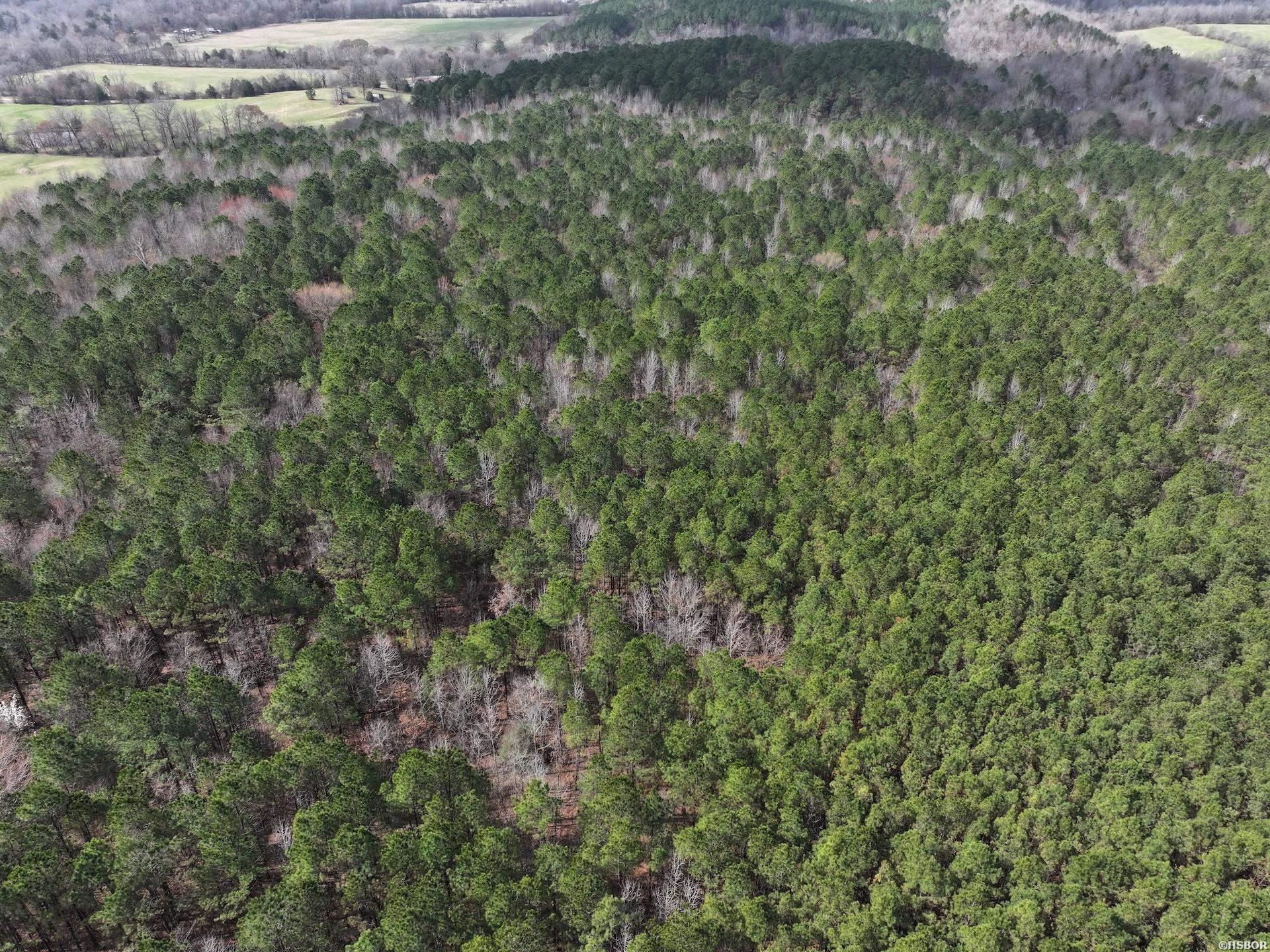 Xxx J Dunson Property Photo 19