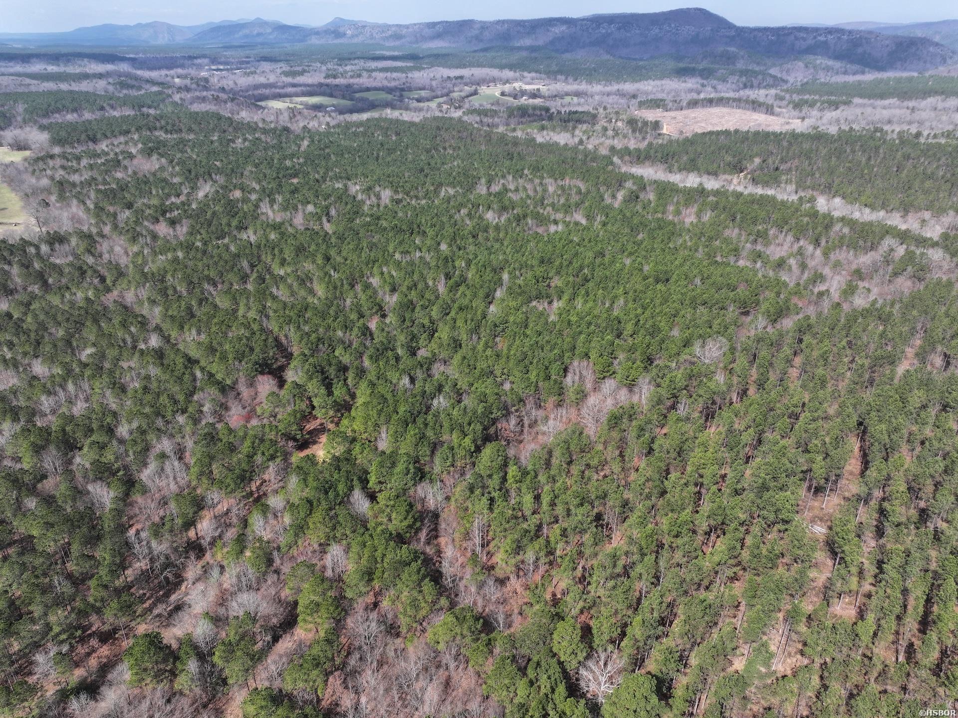 Xxx J Dunson Property Photo 22