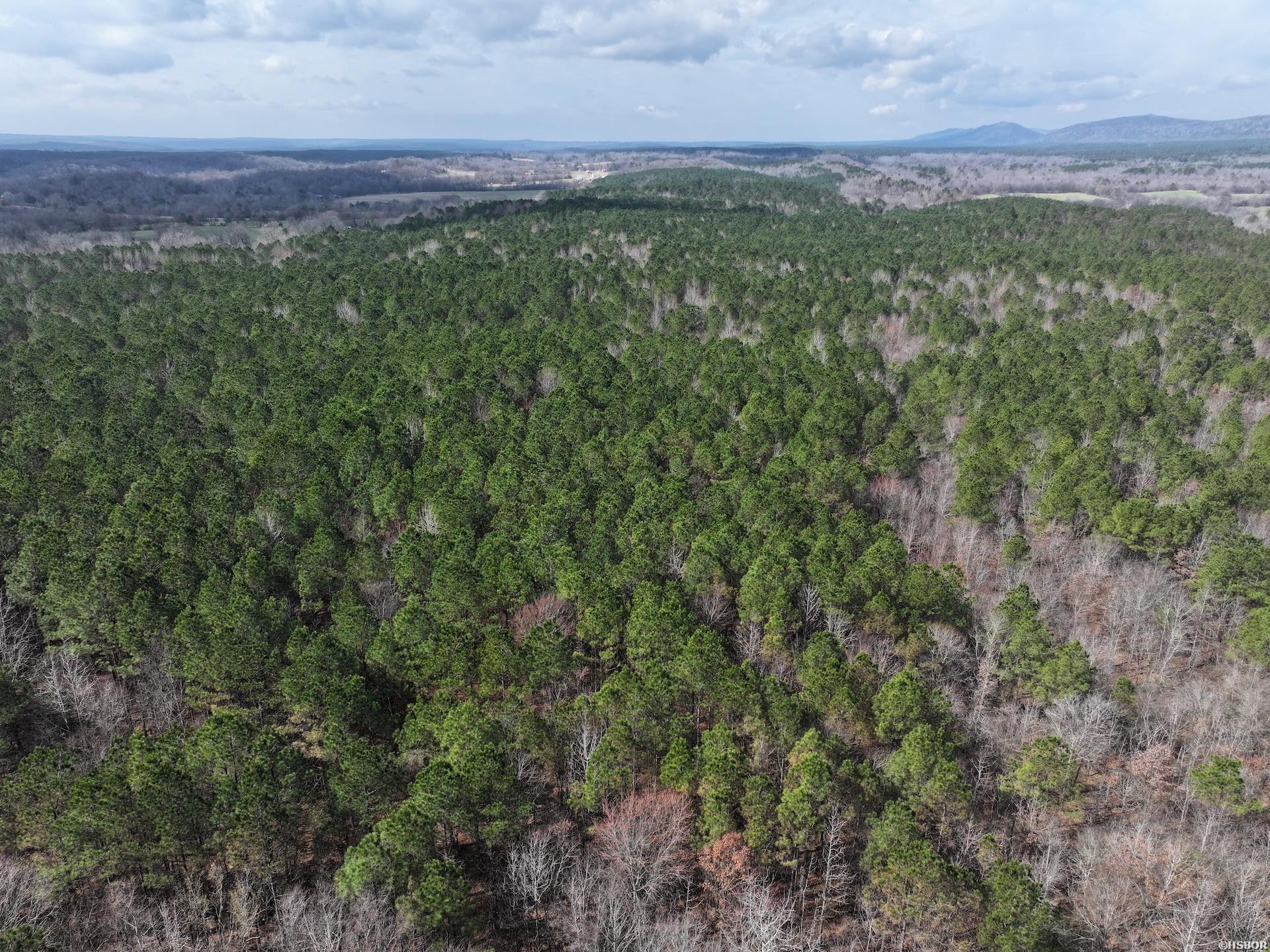 Xxx J Dunson Property Photo 24