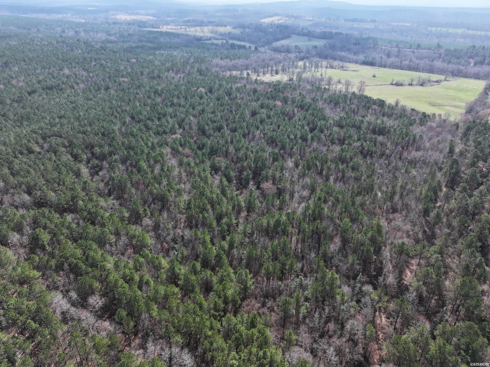 Xxx J Dunson Property Photo 26