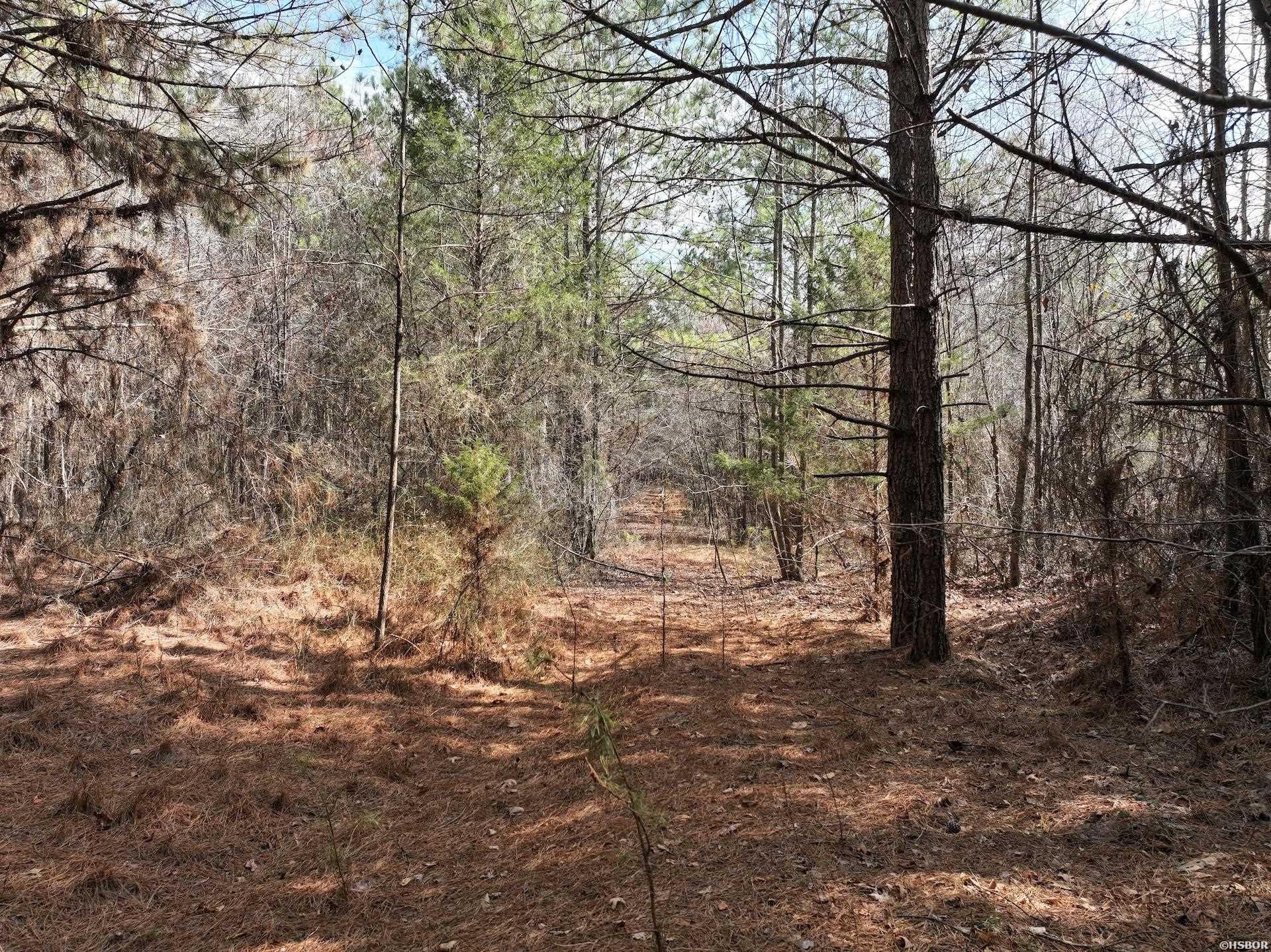 Xxx J Dunson Property Photo 27