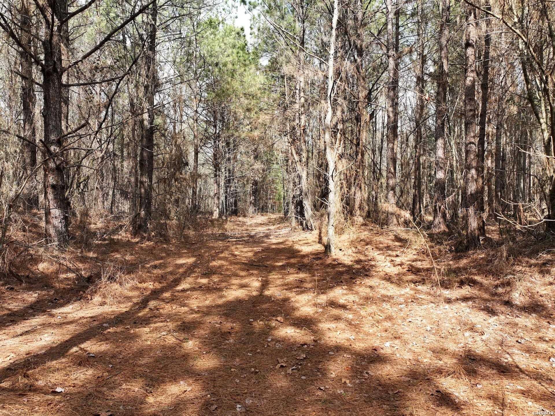Xxx J Dunson Property Photo 28