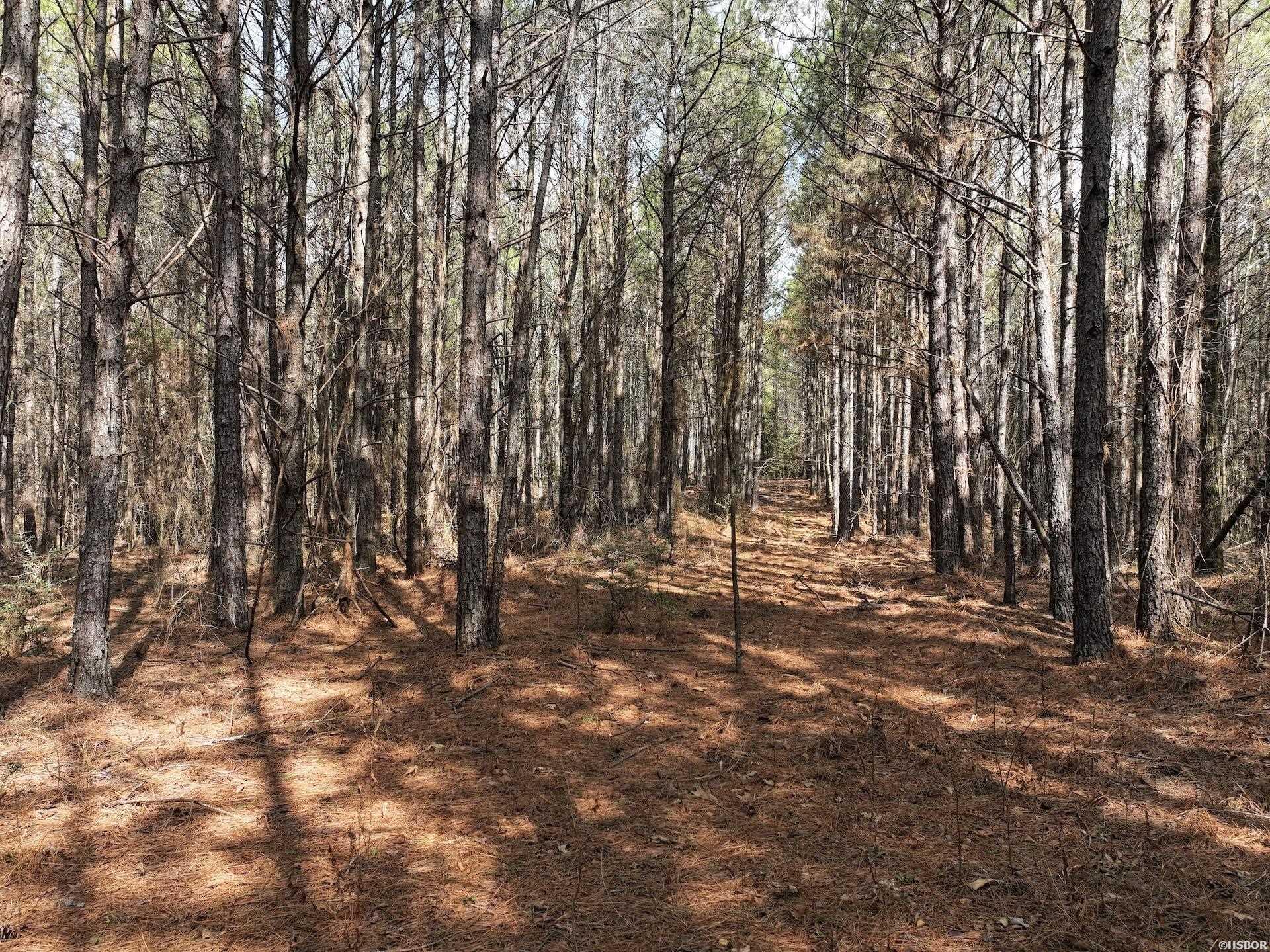 Xxx J Dunson Property Photo 30
