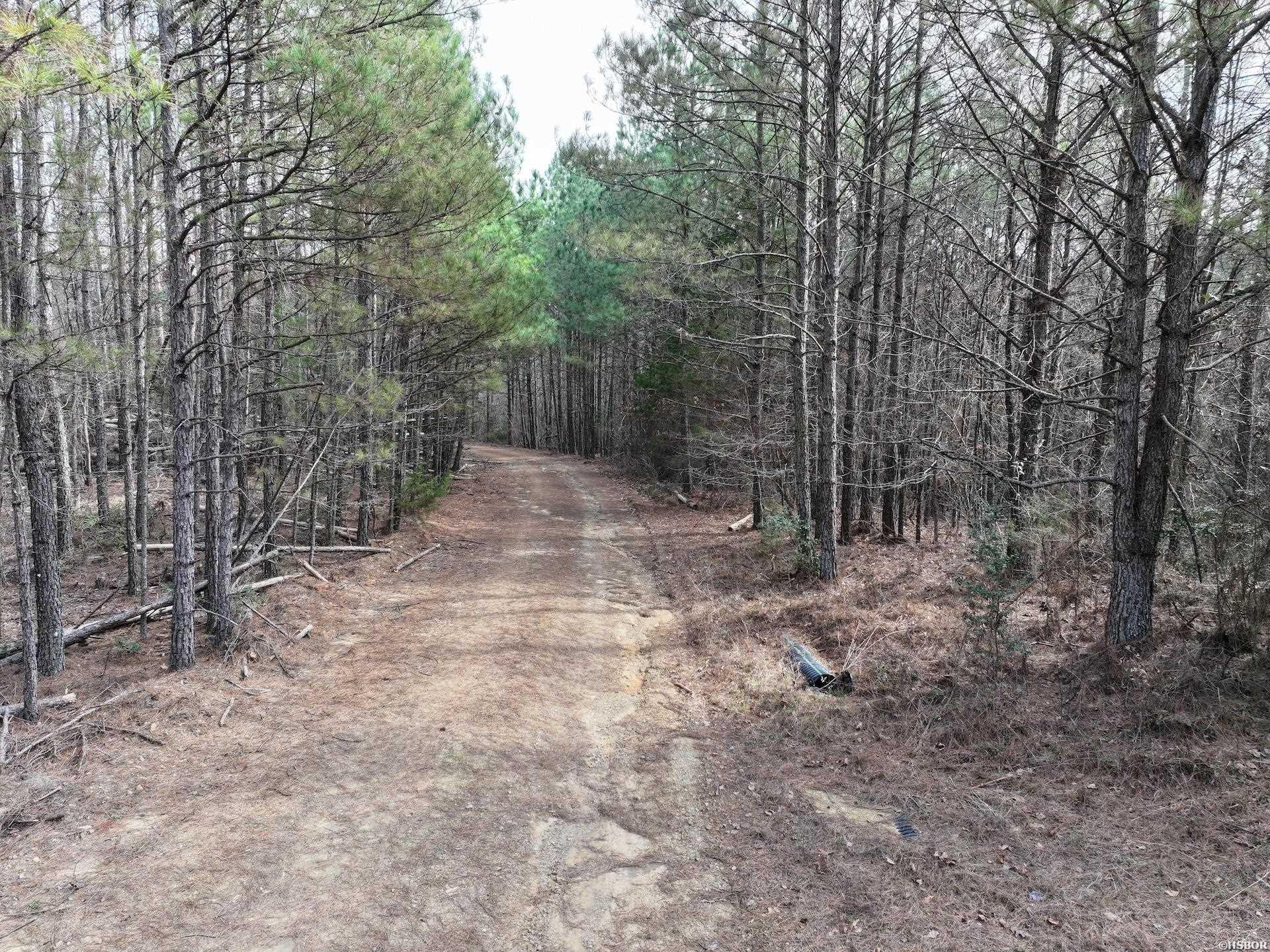 Xxx J Dunson Property Photo 32