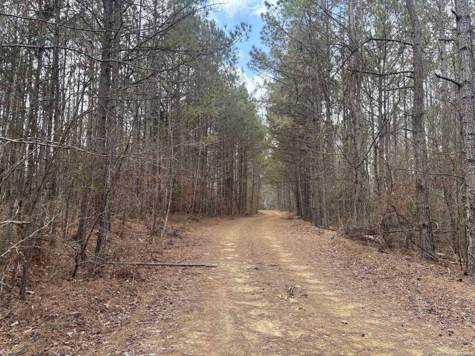 Xxx J Dunson Property Photo 33