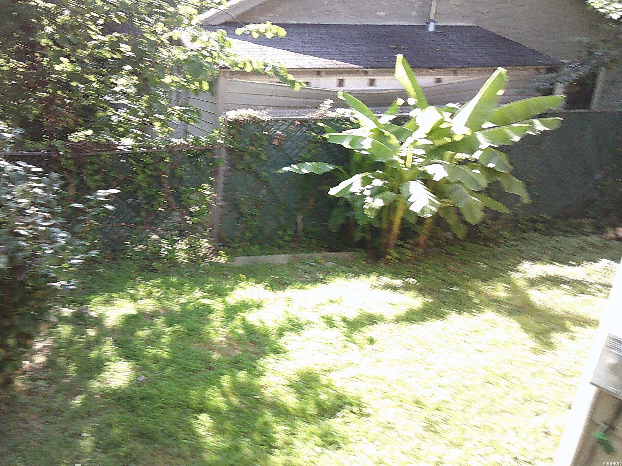 1005 Rector Property Photo 28
