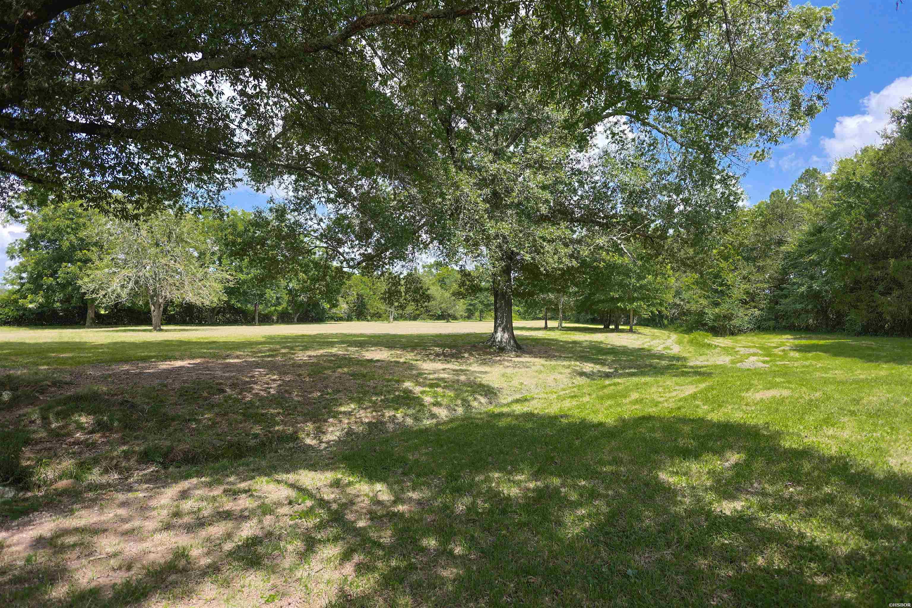1101 Brushy Road Property Photo 43