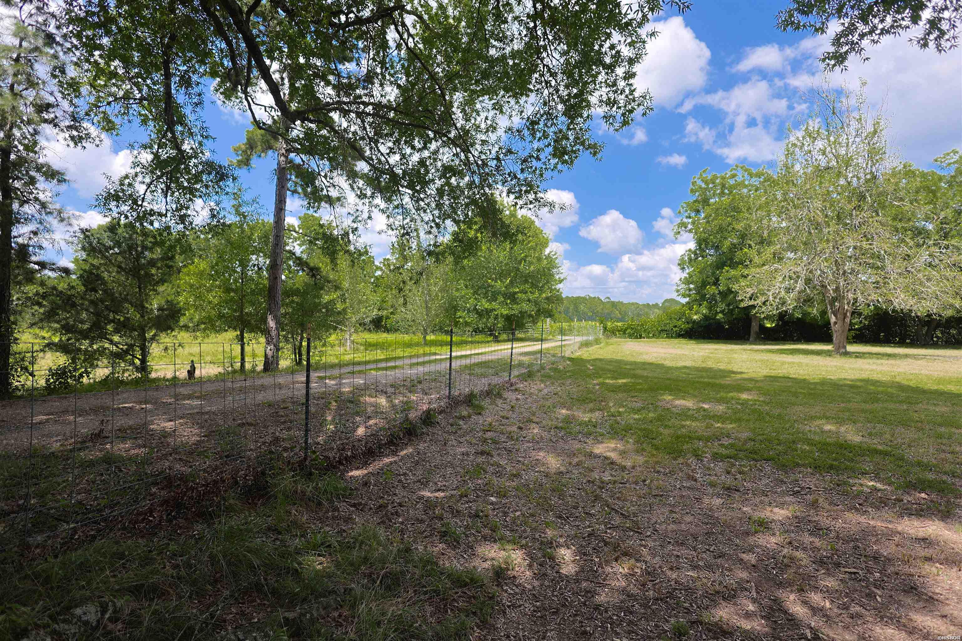 1101 Brushy Road Property Photo 44