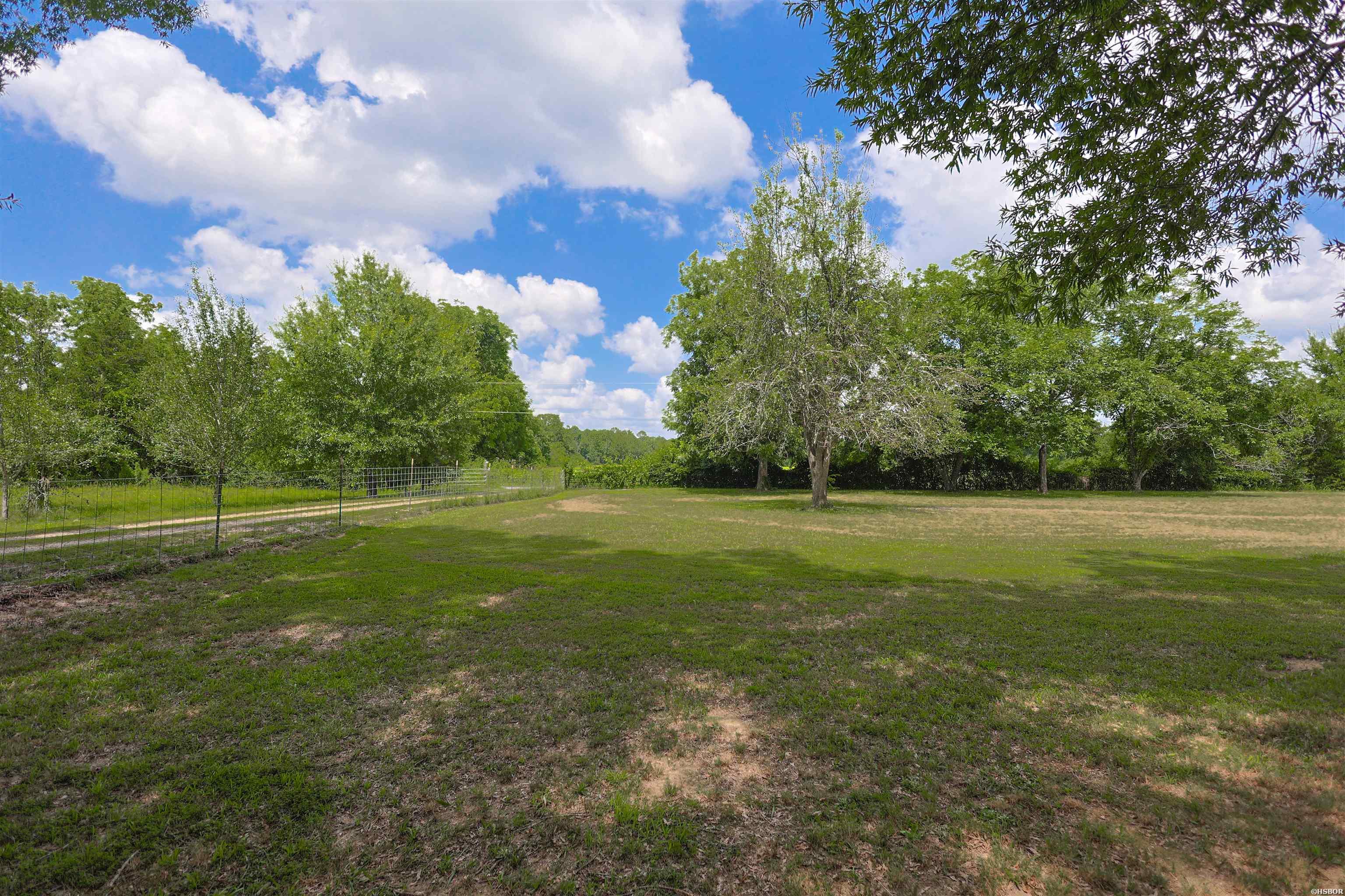 1101 Brushy Road Property Photo 45