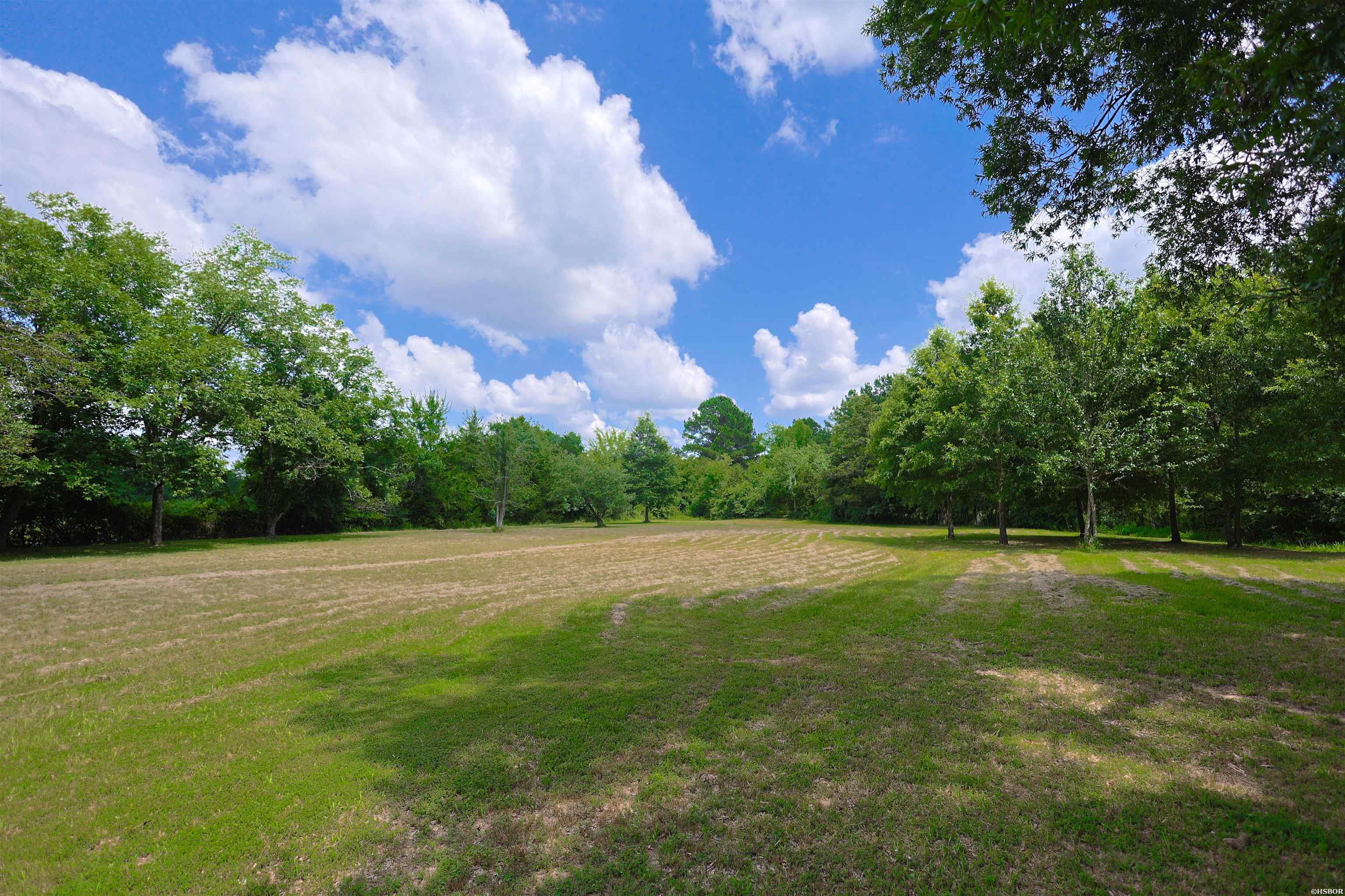 1101 Brushy Road Property Photo 46