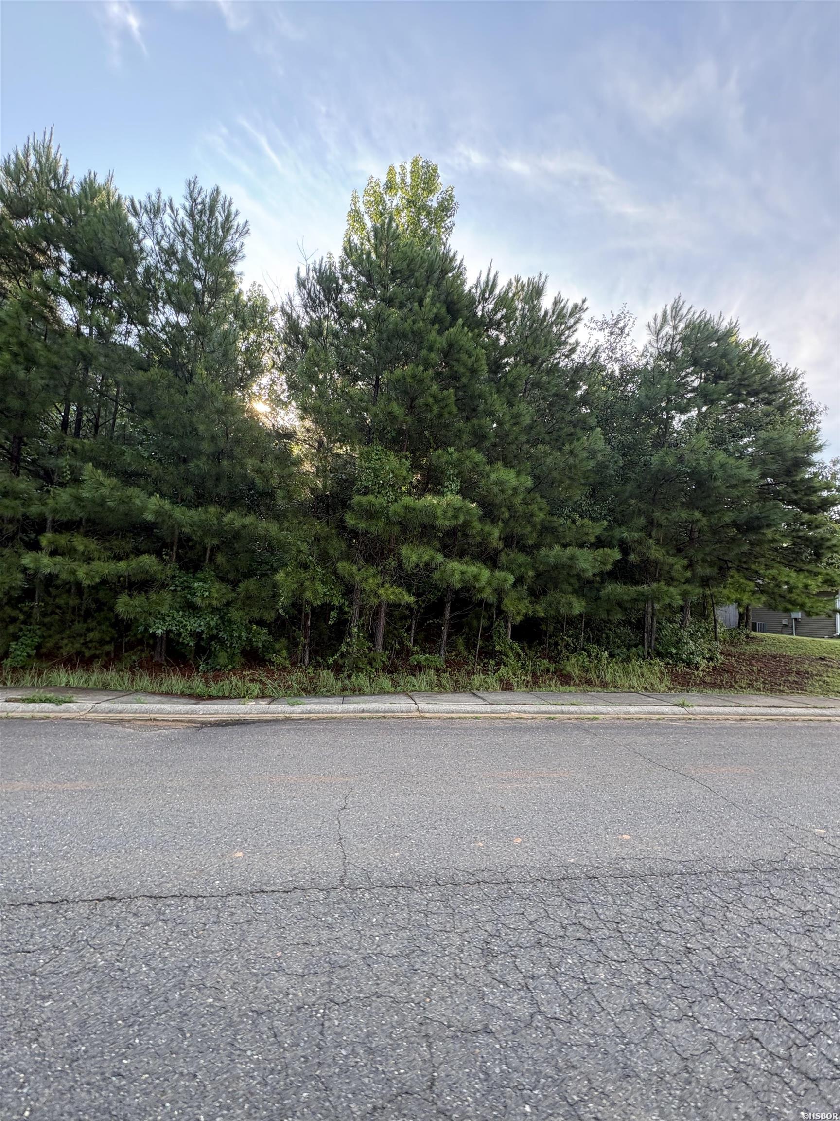 Lot 3 Somerset Property Photo 7