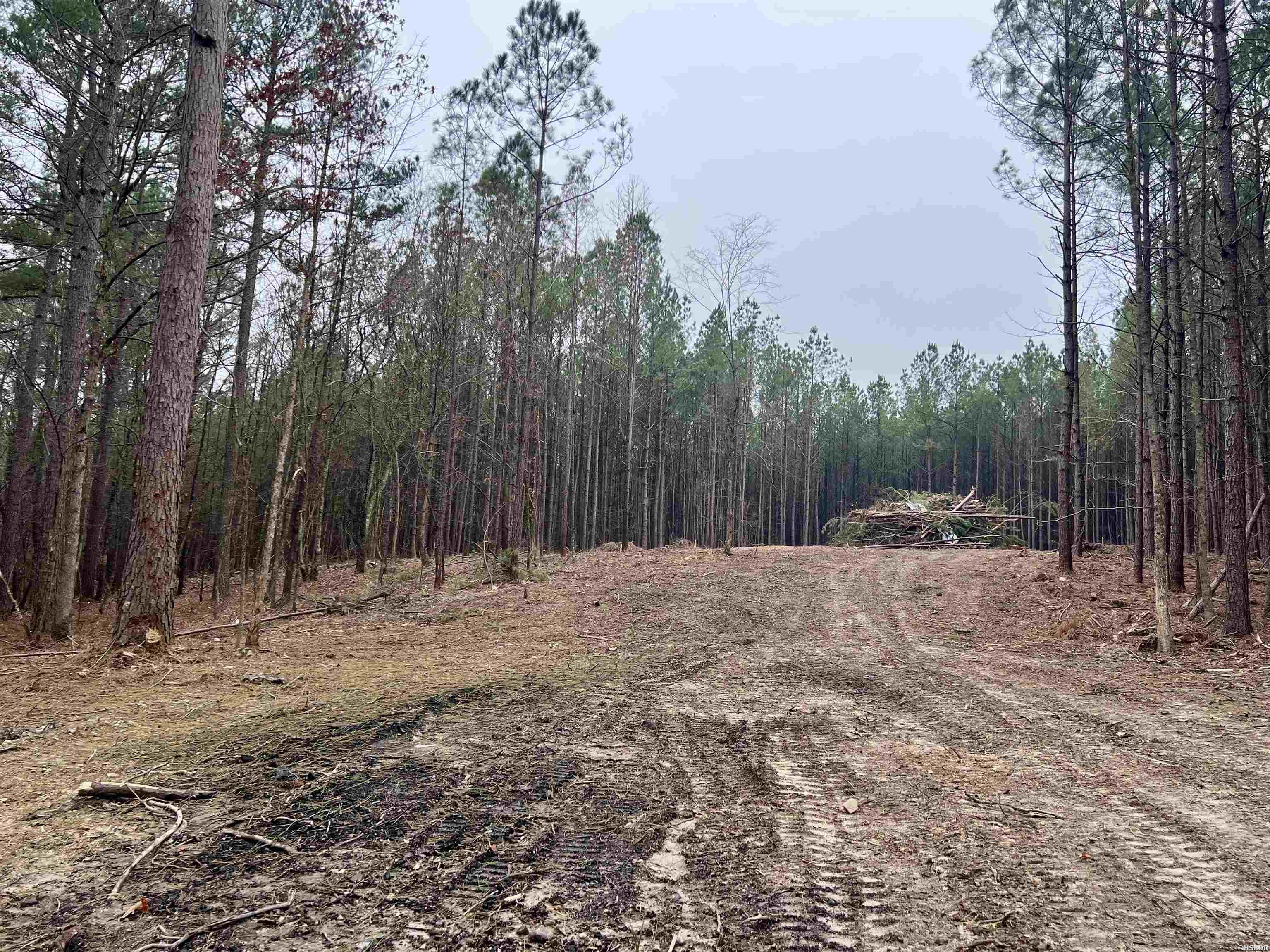 002 Stihl Road Property Photo 2