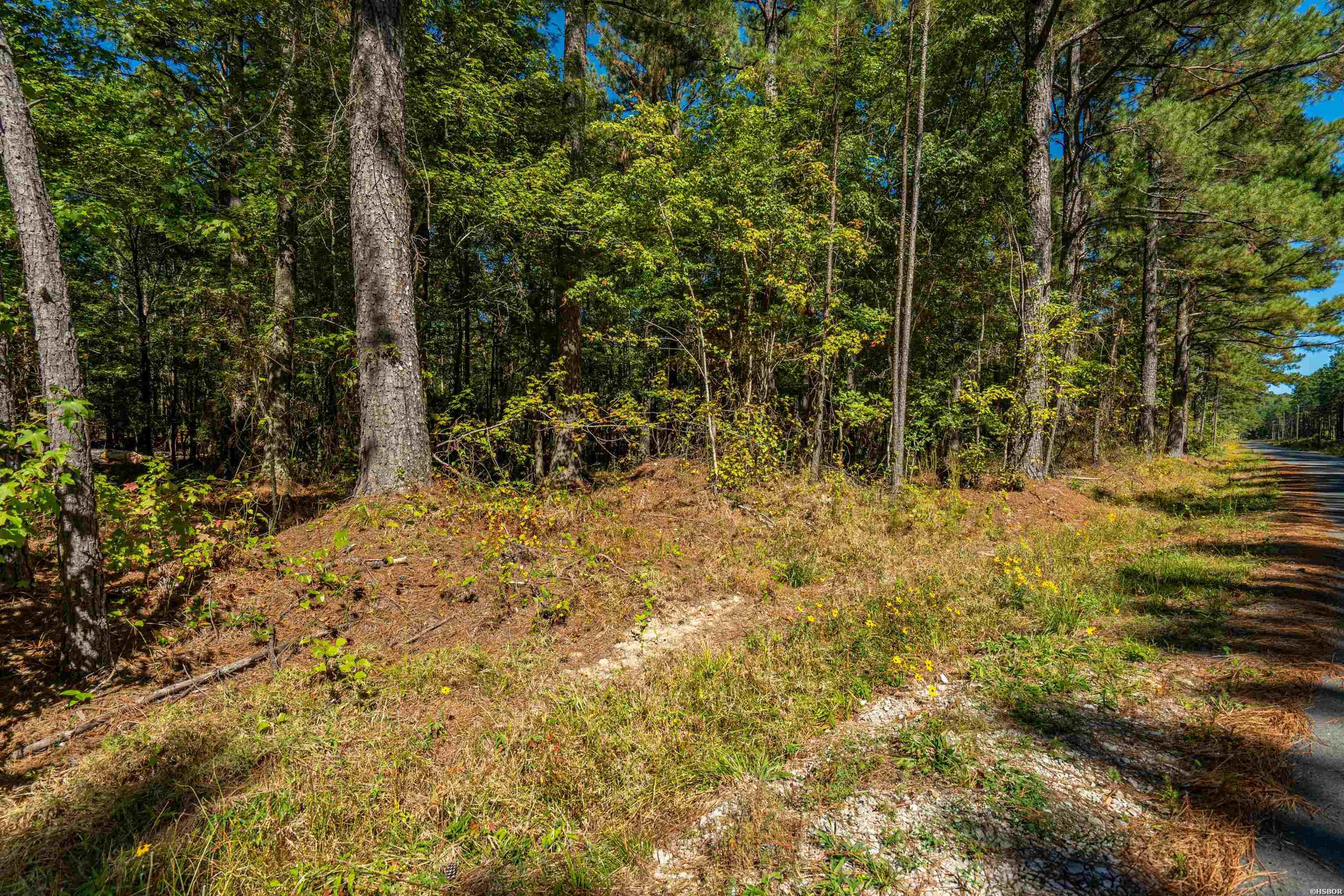 002 Stihl Road Property Photo 3