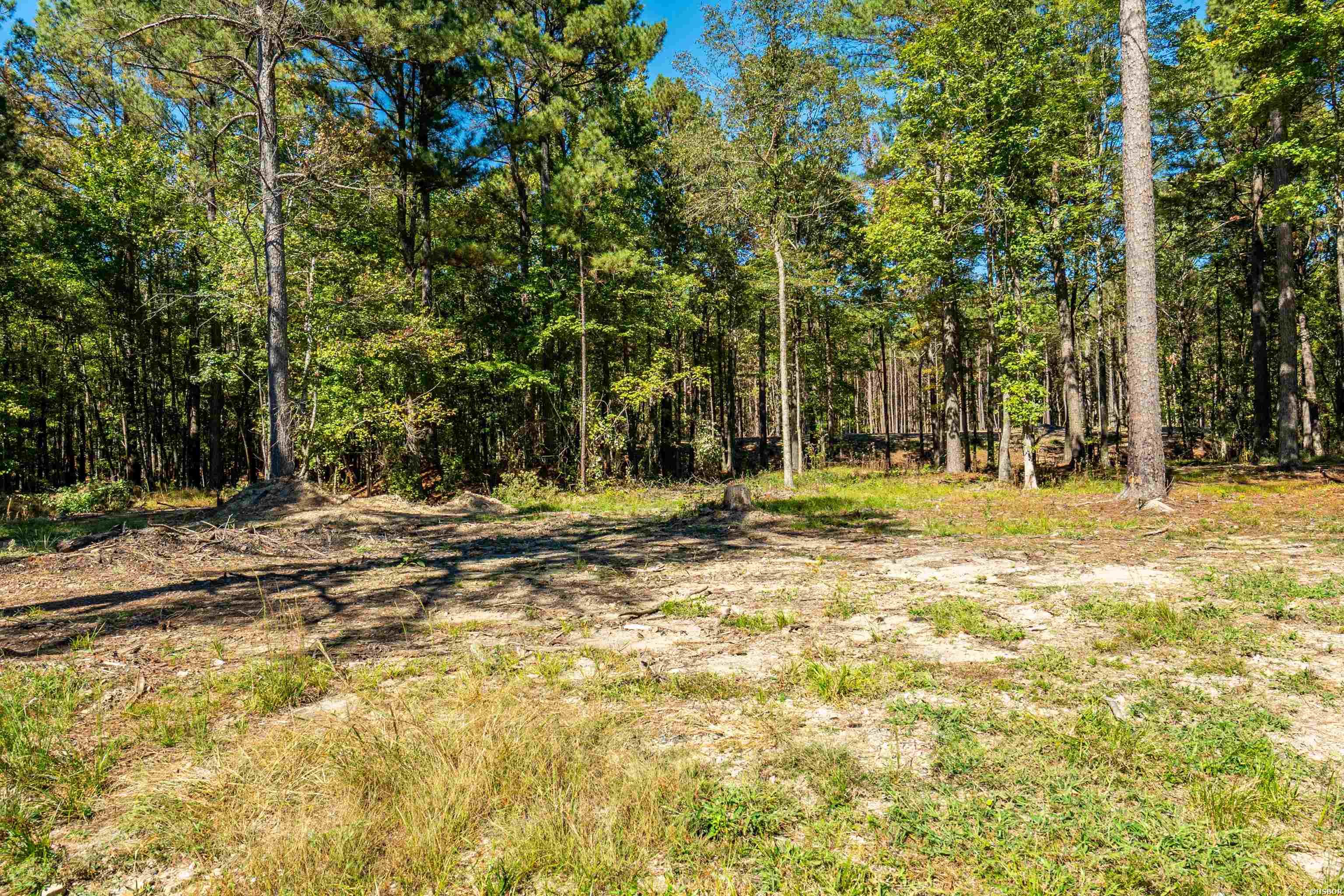 002 Stihl Road Property Photo 4