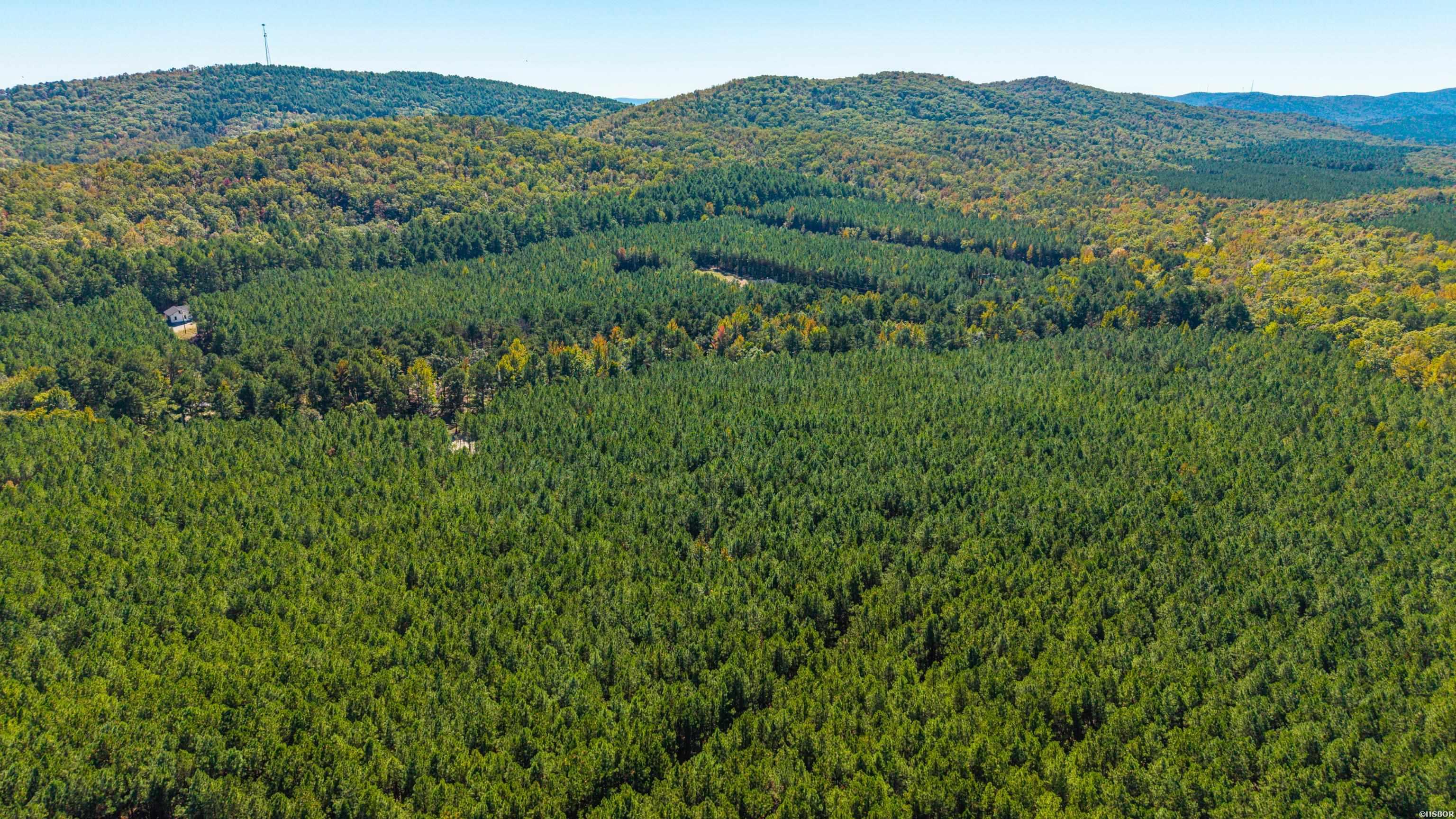 002 Stihl Road Property Photo 9